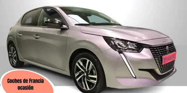 Coches de origen francés en Yamovil