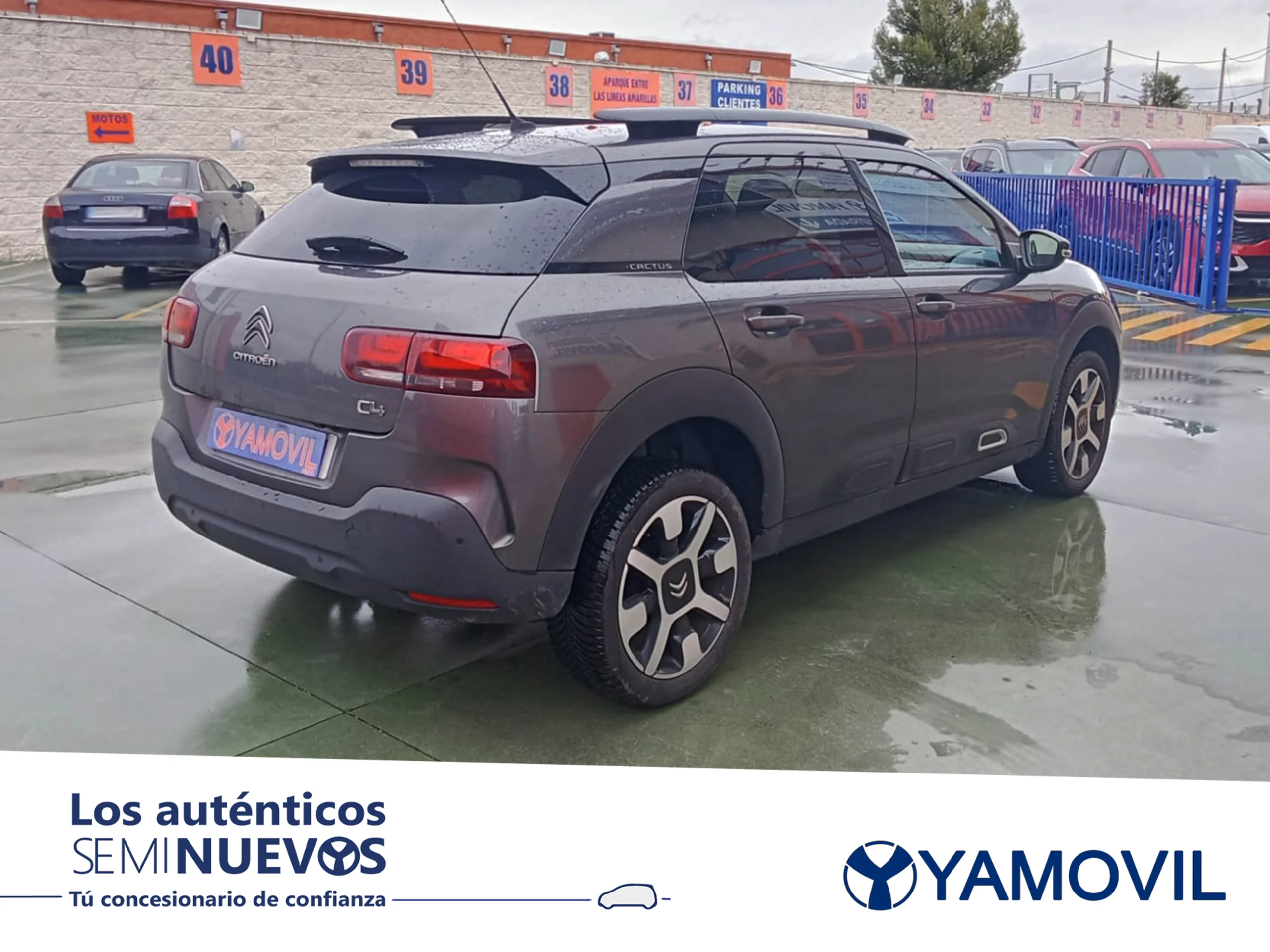 Citroen C4 Cactus BlueHDi 100 Shine 73 kW (100 CV) - Foto 2