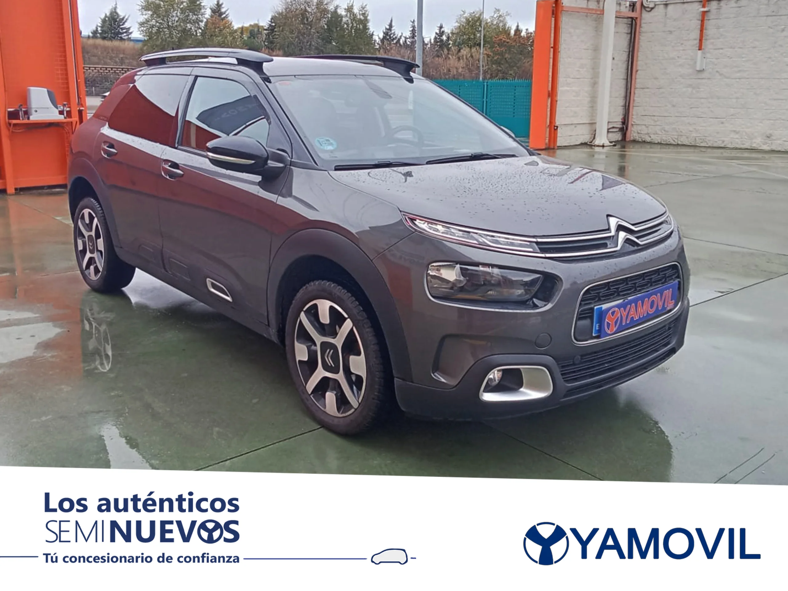 Citroen C4 Cactus BlueHDi 100 Shine 73 kW (100 CV) - Foto 3