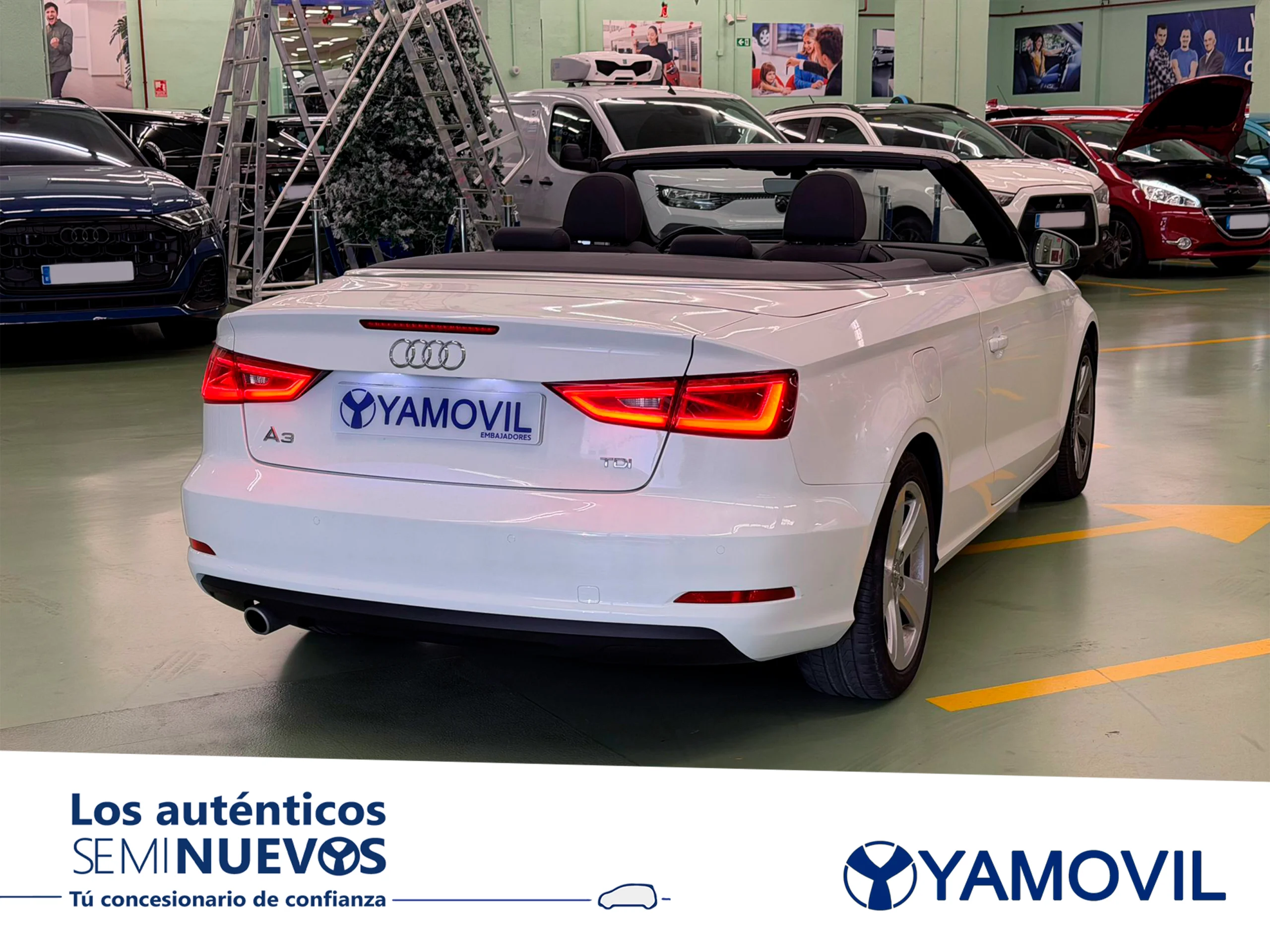 Audi A3 Cabrio Ambition 1.6 TDI clean diesel 81 kW (110 CV) - Foto 2