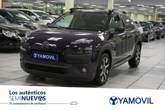 Citroen C4 Cactus BlueHDi 100 Shine 73 kW (100 CV)