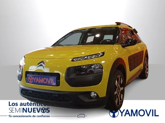 Citroen C4 Cactus BlueHDi 100 Shine 73 kW (100 CV)