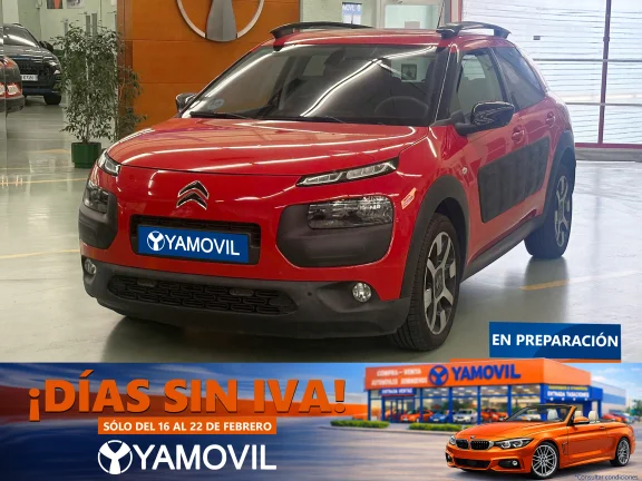 Citroen C4 Cactus PureTech 110 SANDS Shine 81 kW (110 CV)