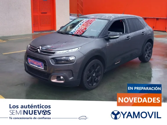 Citroen C4 Cactus PureTech 110 SANDS Origins 81 kW (110 CV)