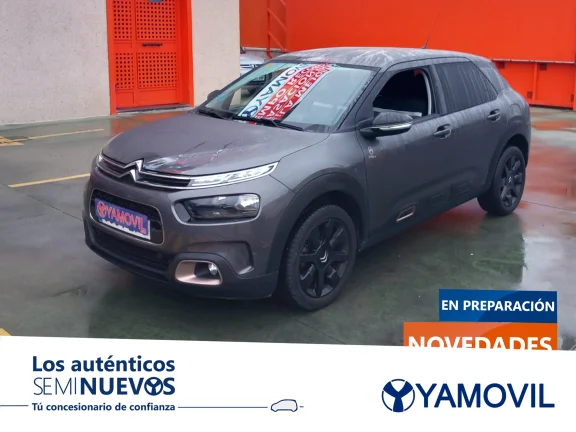 Citroen C4 Cactus PureTech 110 SANDS Origins 81 kW (110 CV)