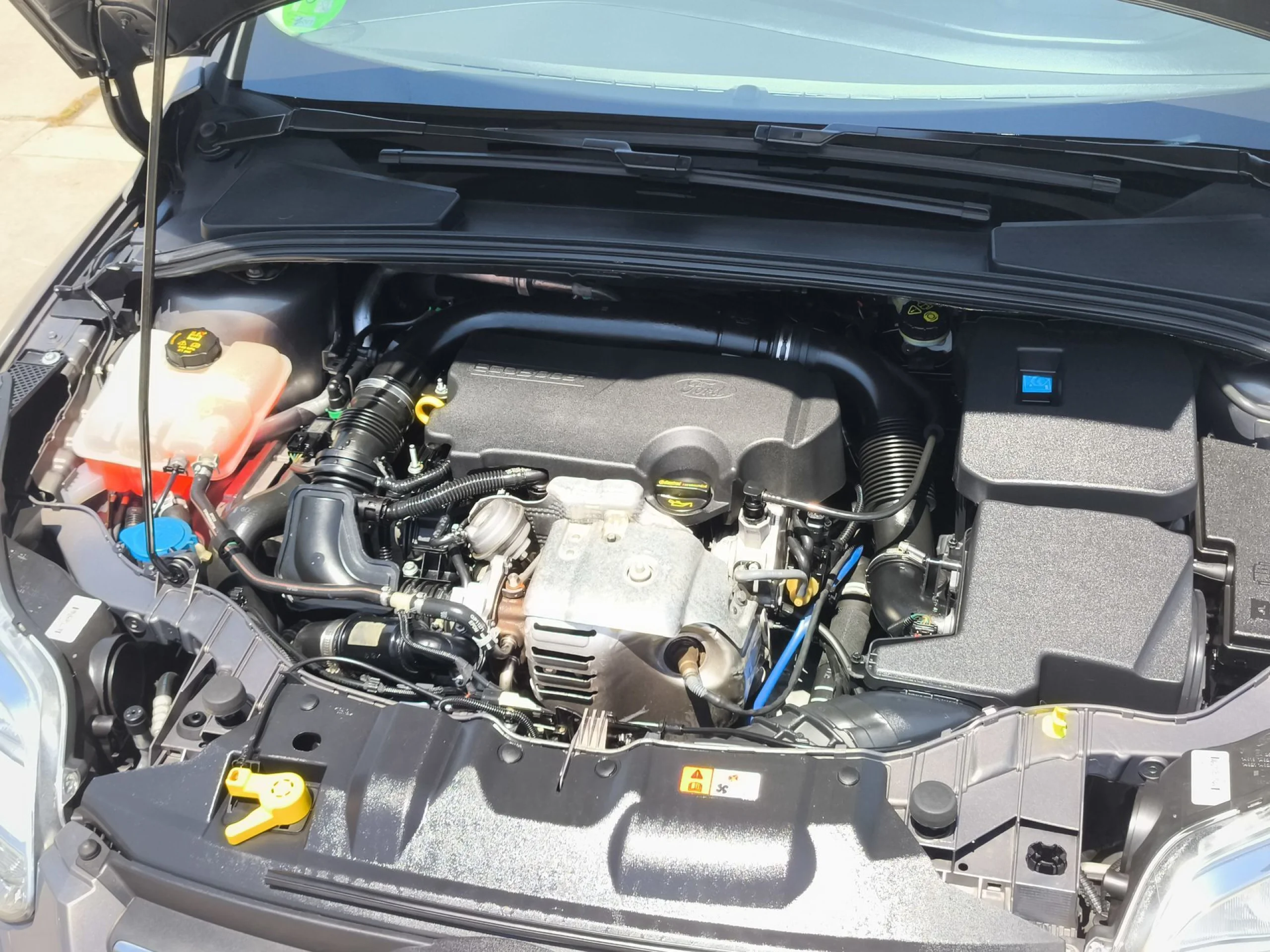 Ford Focus 1.0 EcoBoost SANDS Edition 92 kW (125 CV) - Foto 21