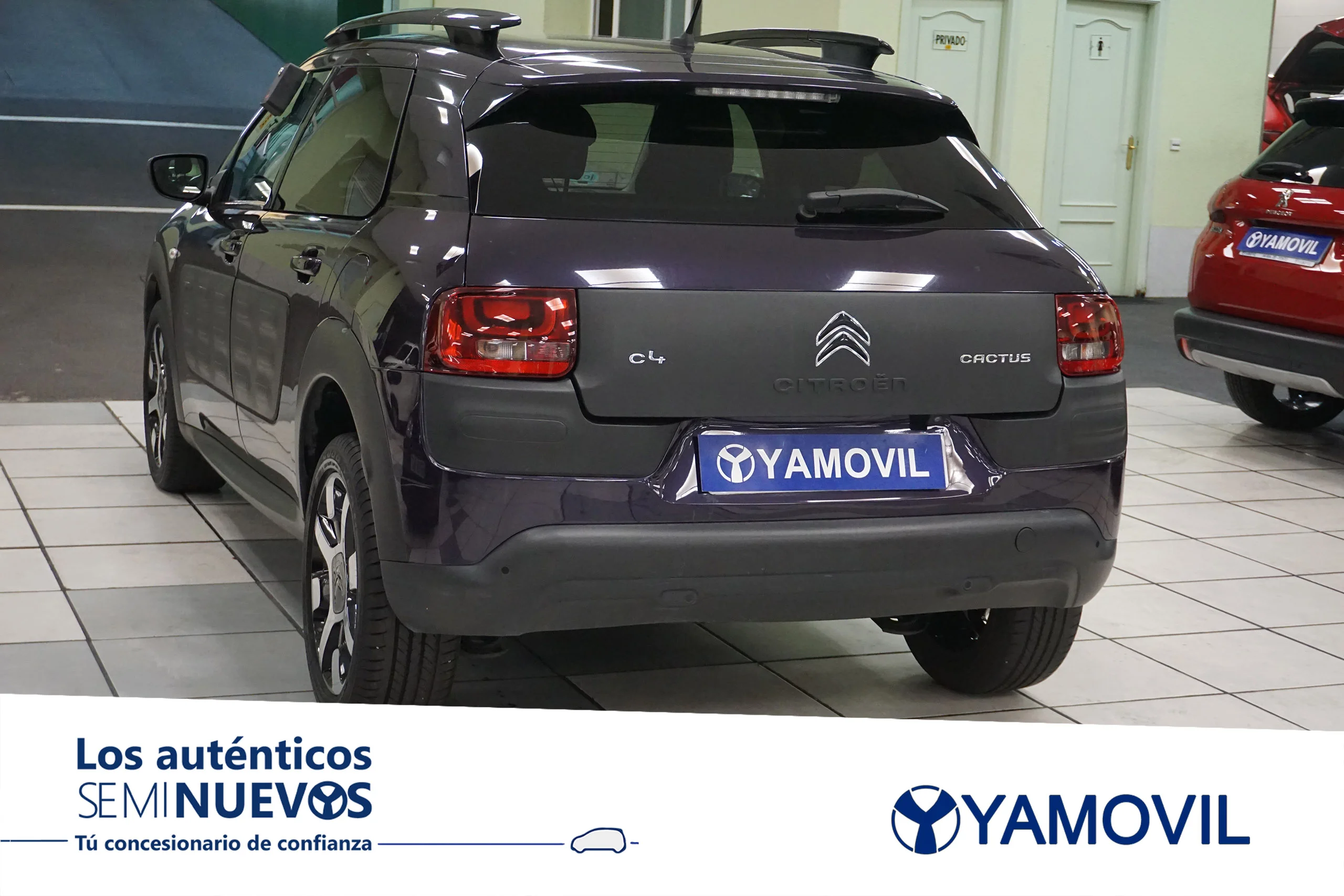 Citroen C4 CACTUS 1.6 BLUEHDI SHINE S&S 5P - Foto 6