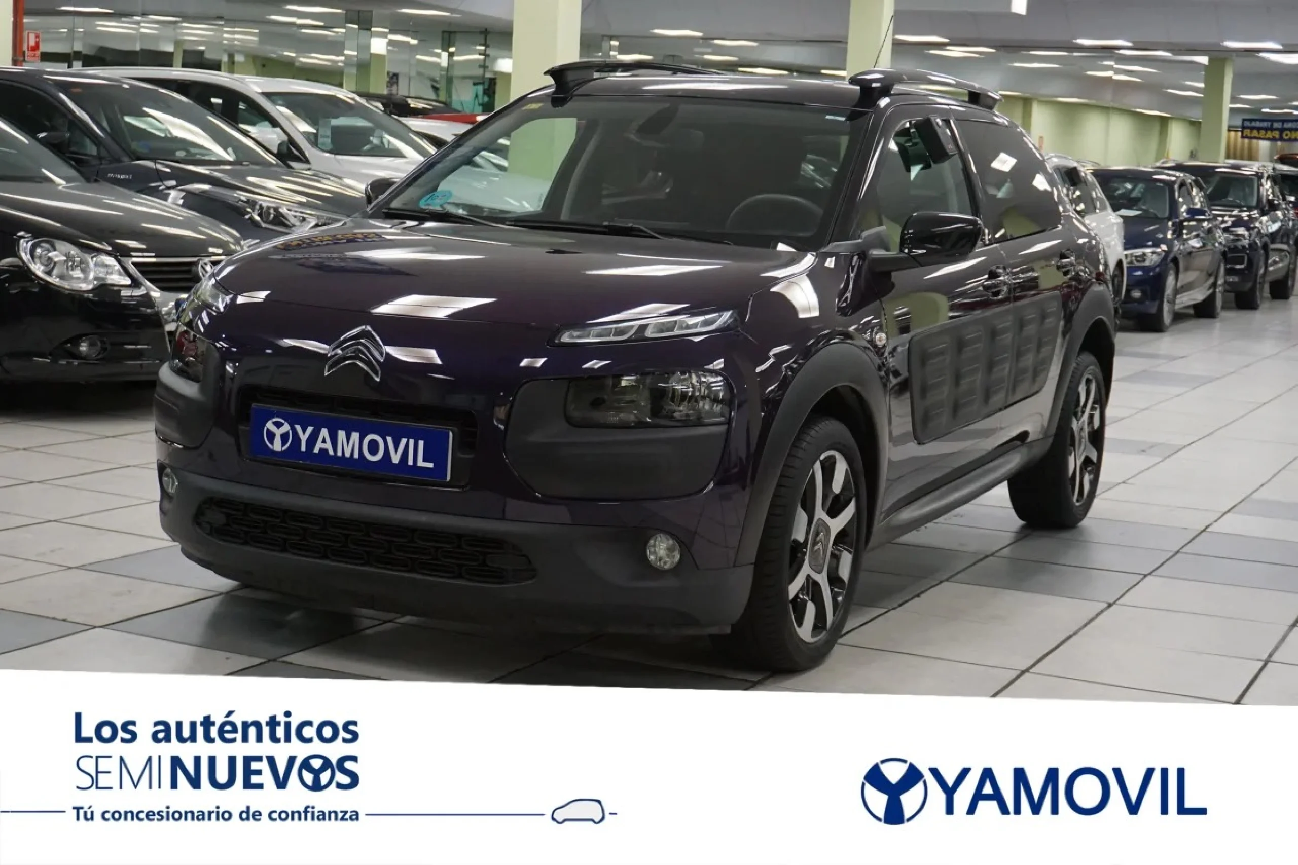 Citroen C4 Cactus BlueHDi 100 Shine 73 kW (100 CV) - Foto 1