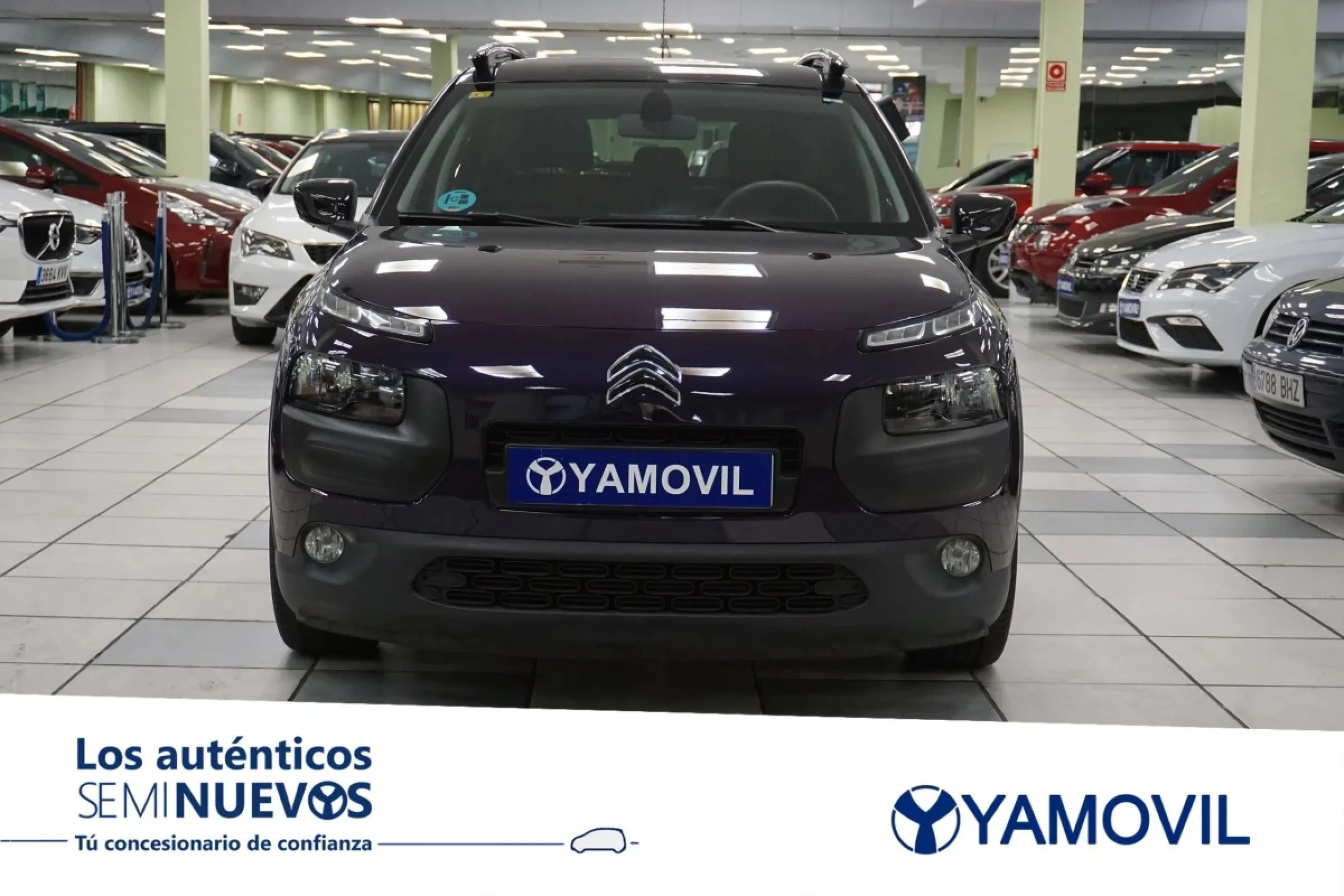 Citroen C4 Cactus BlueHDi 100 Shine 73 kW (100 CV) - Foto 2