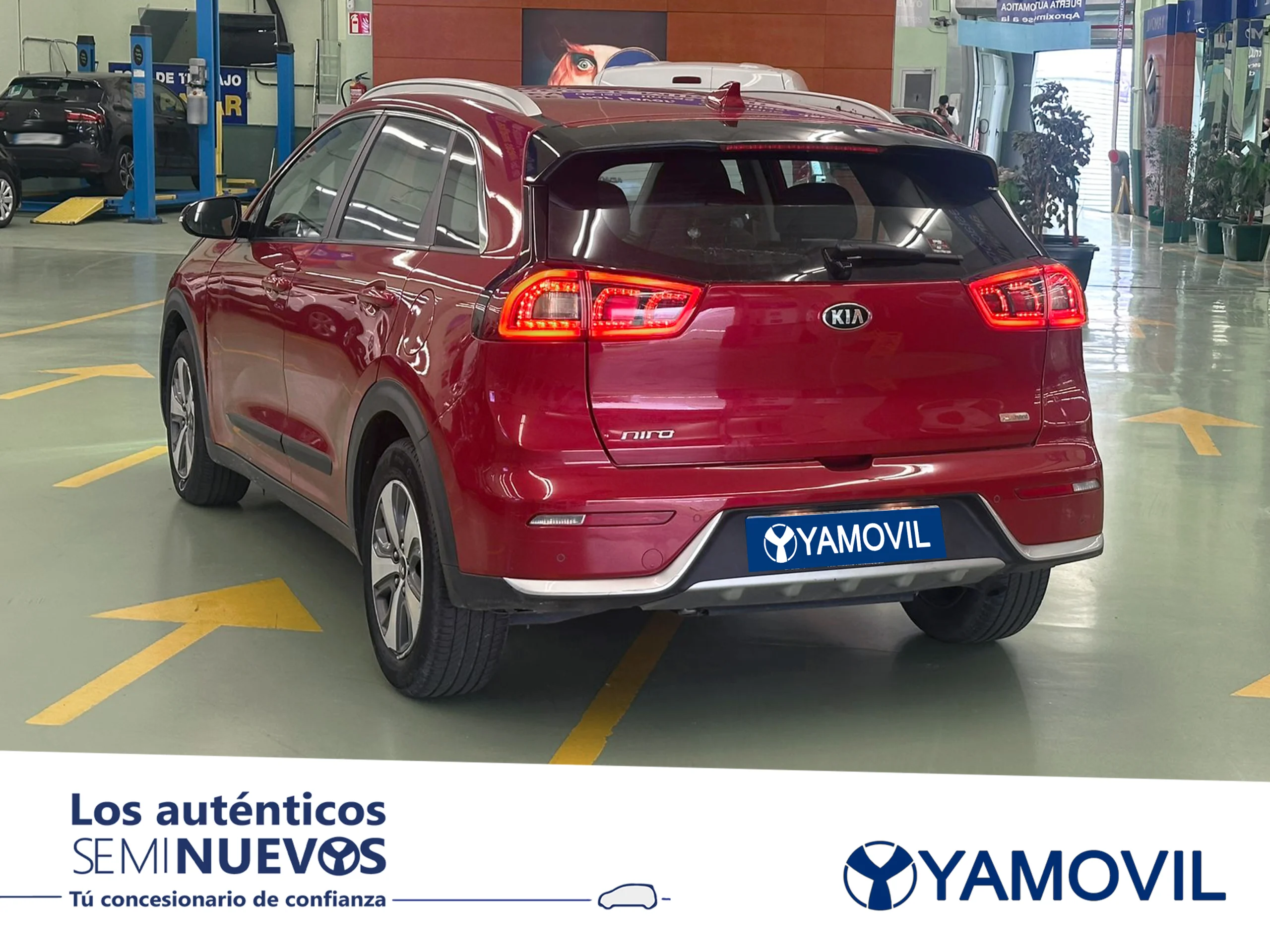 Kia Niro 1.6 GDi HEV Híbrido Drive 104 kW (141 CV) - Foto 4