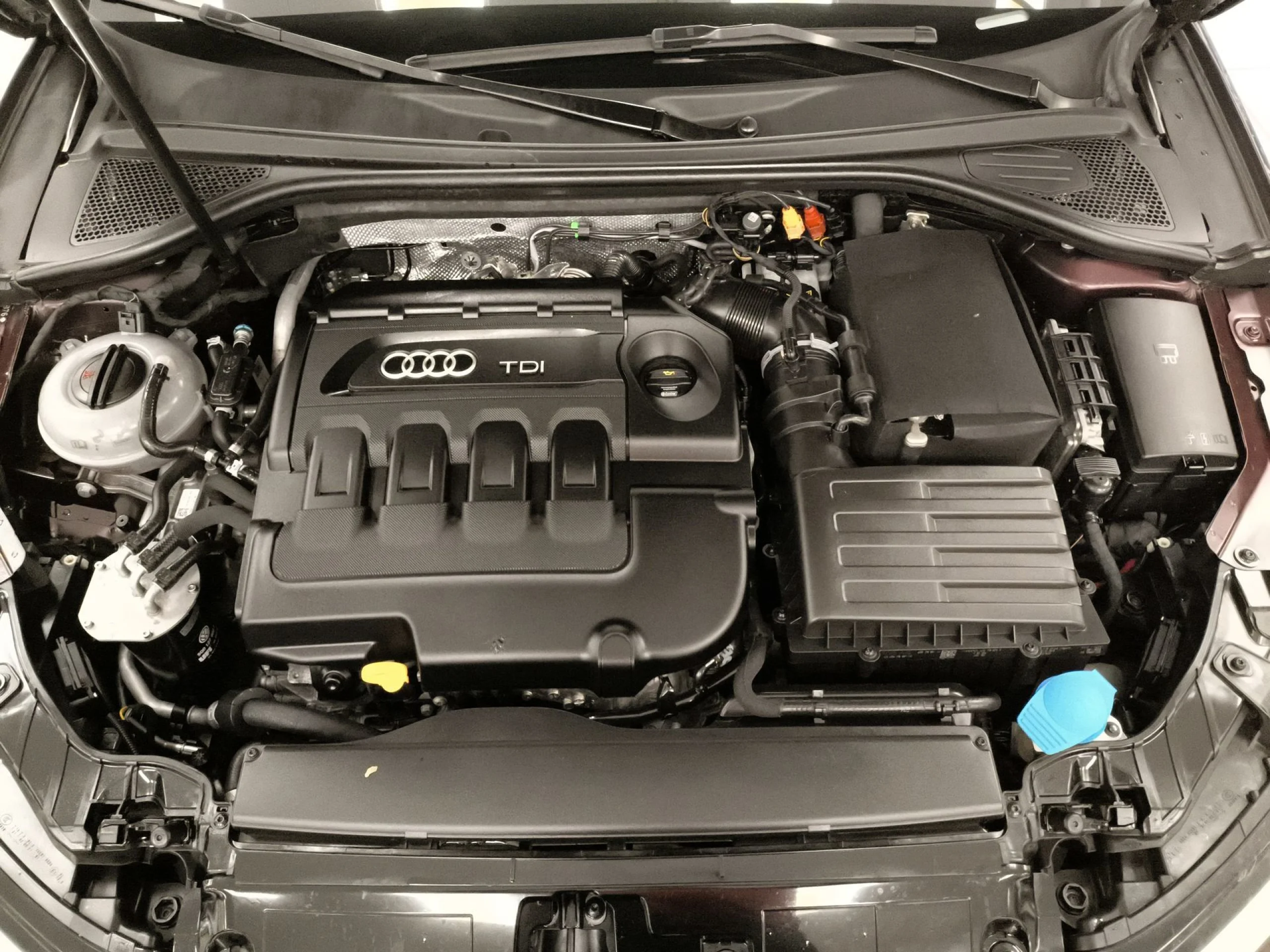 Audi A3 Ambition 2.0 TDI clean diesel quattro 135 kW (184 CV) S tronic - Foto 32