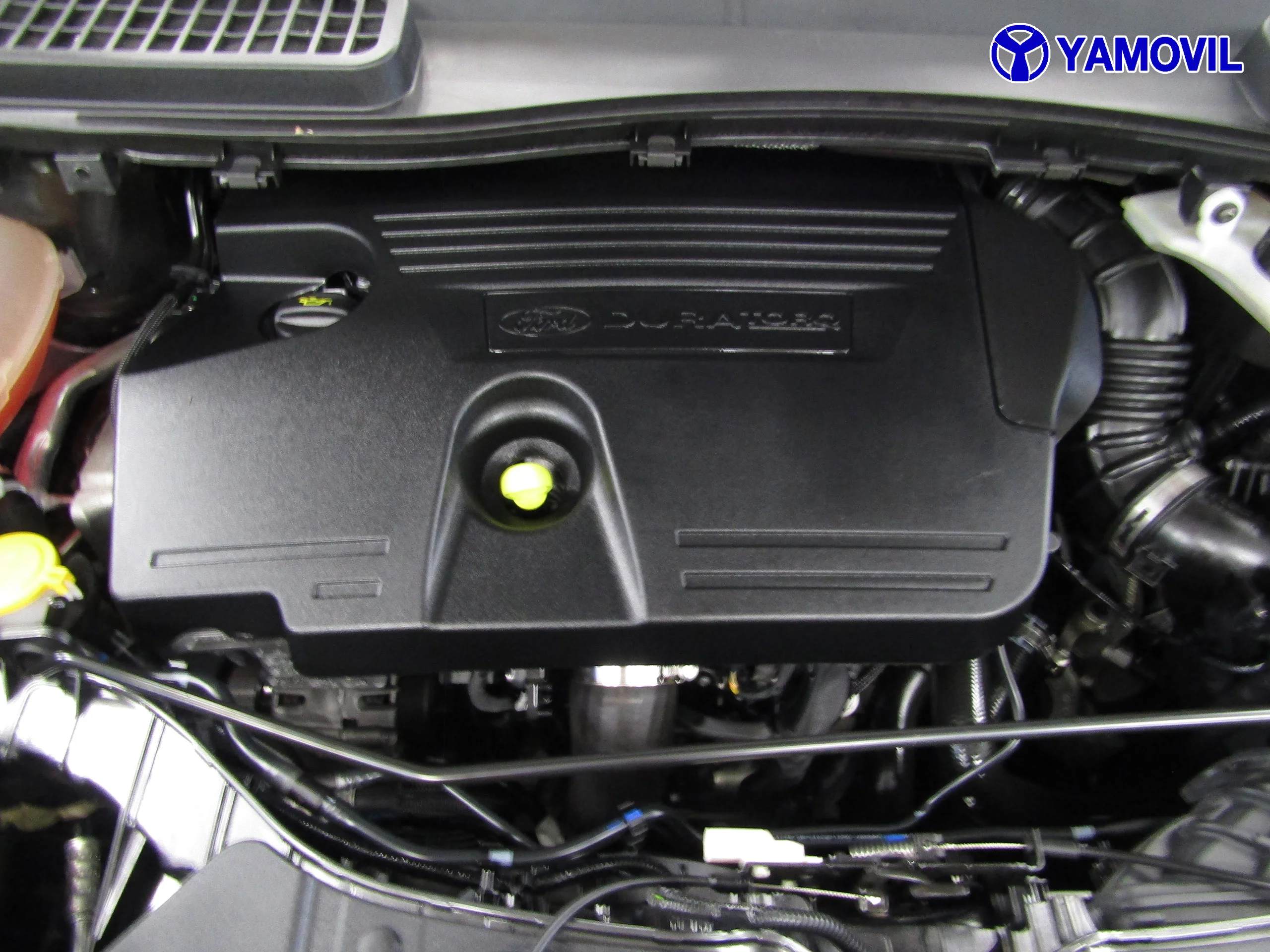 Ford Kuga 2.0 TDCI 4X2 ASS ST-LINE  5P - Foto 8