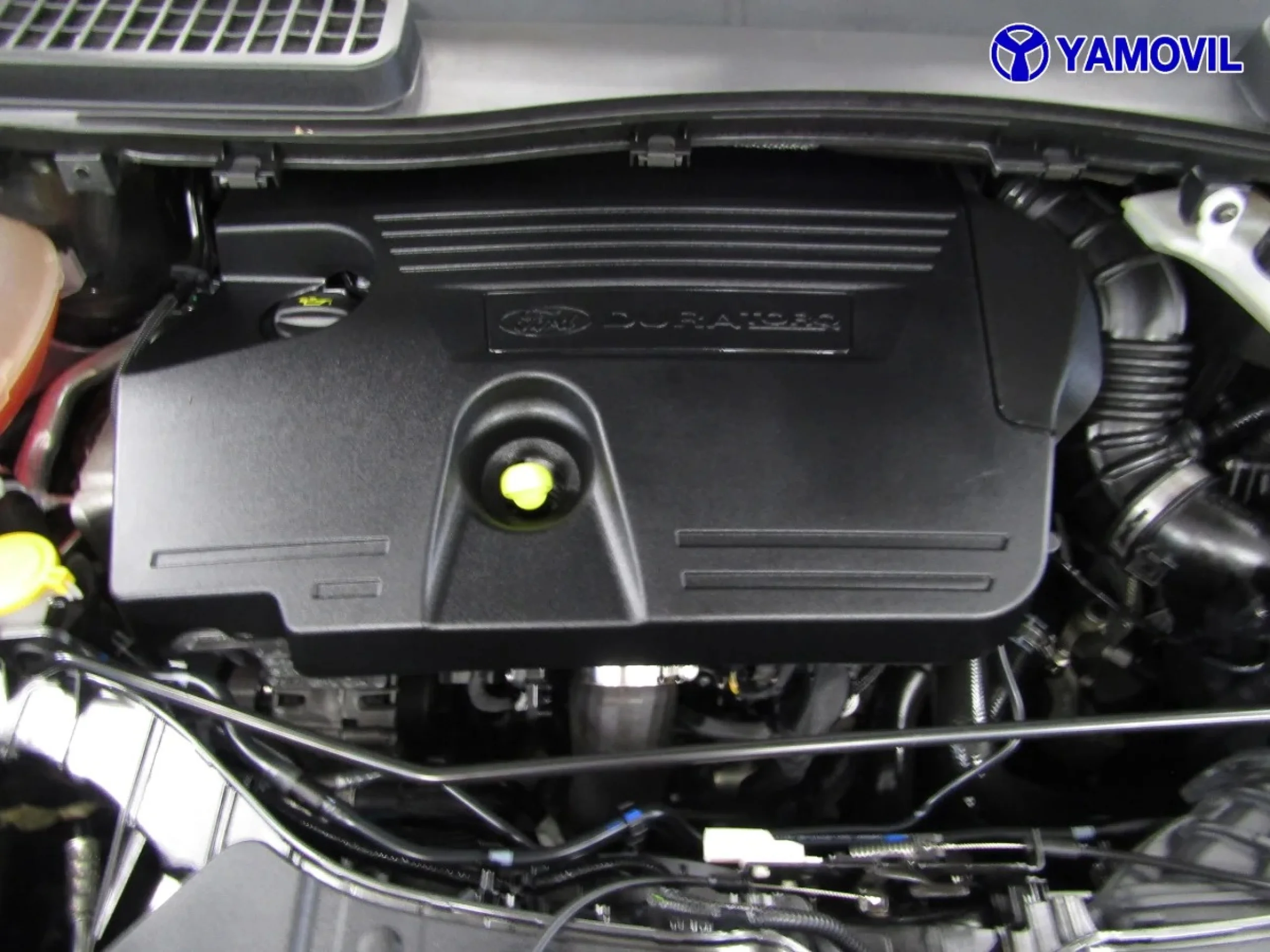 Ford Kuga 2.0 TDCI ST-Line 4x2 110 kW (150 CV) - Foto 8