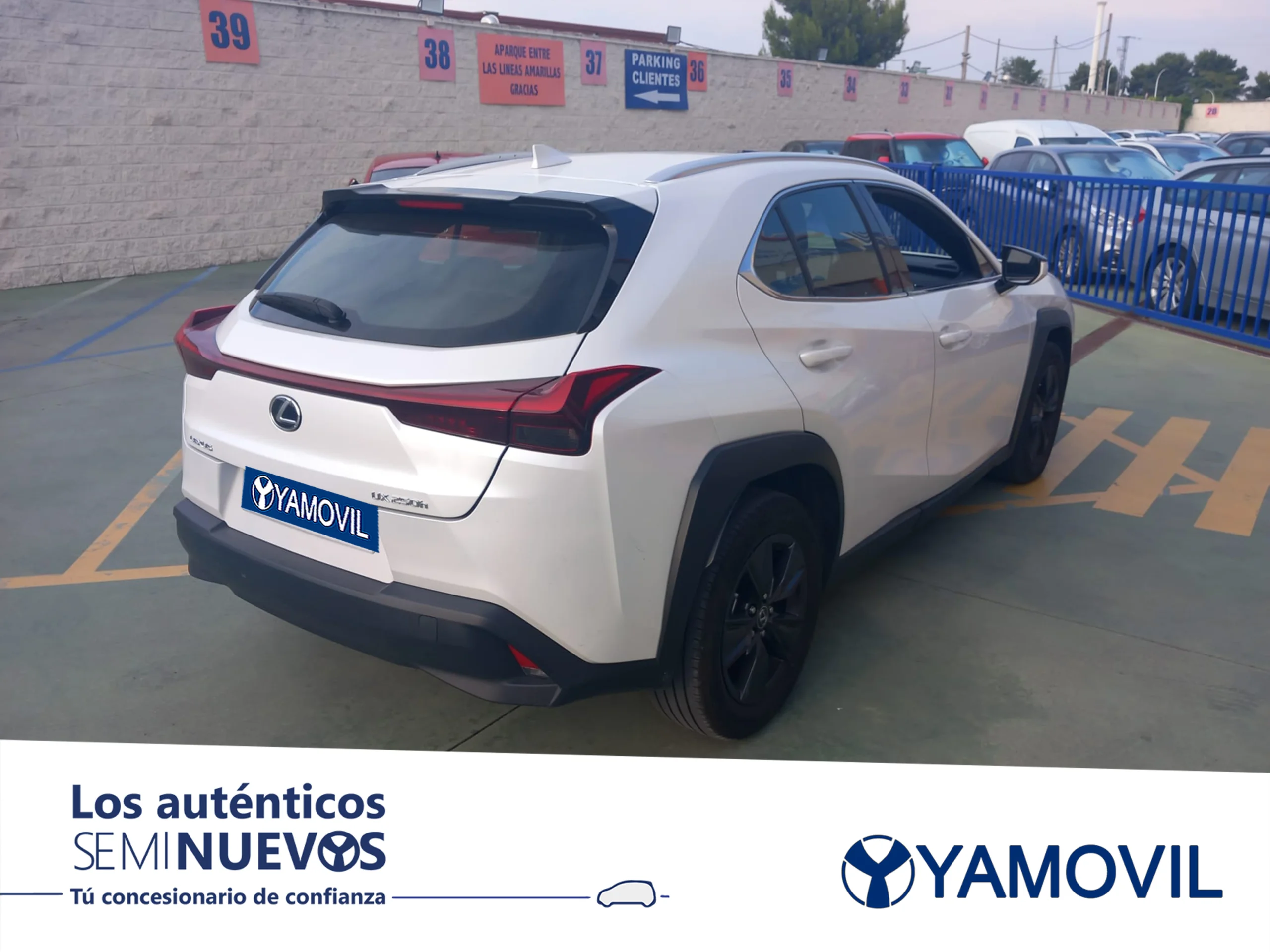 Lexus Ux 250h Business 2WD 135 kW (184 CV) - Foto 2