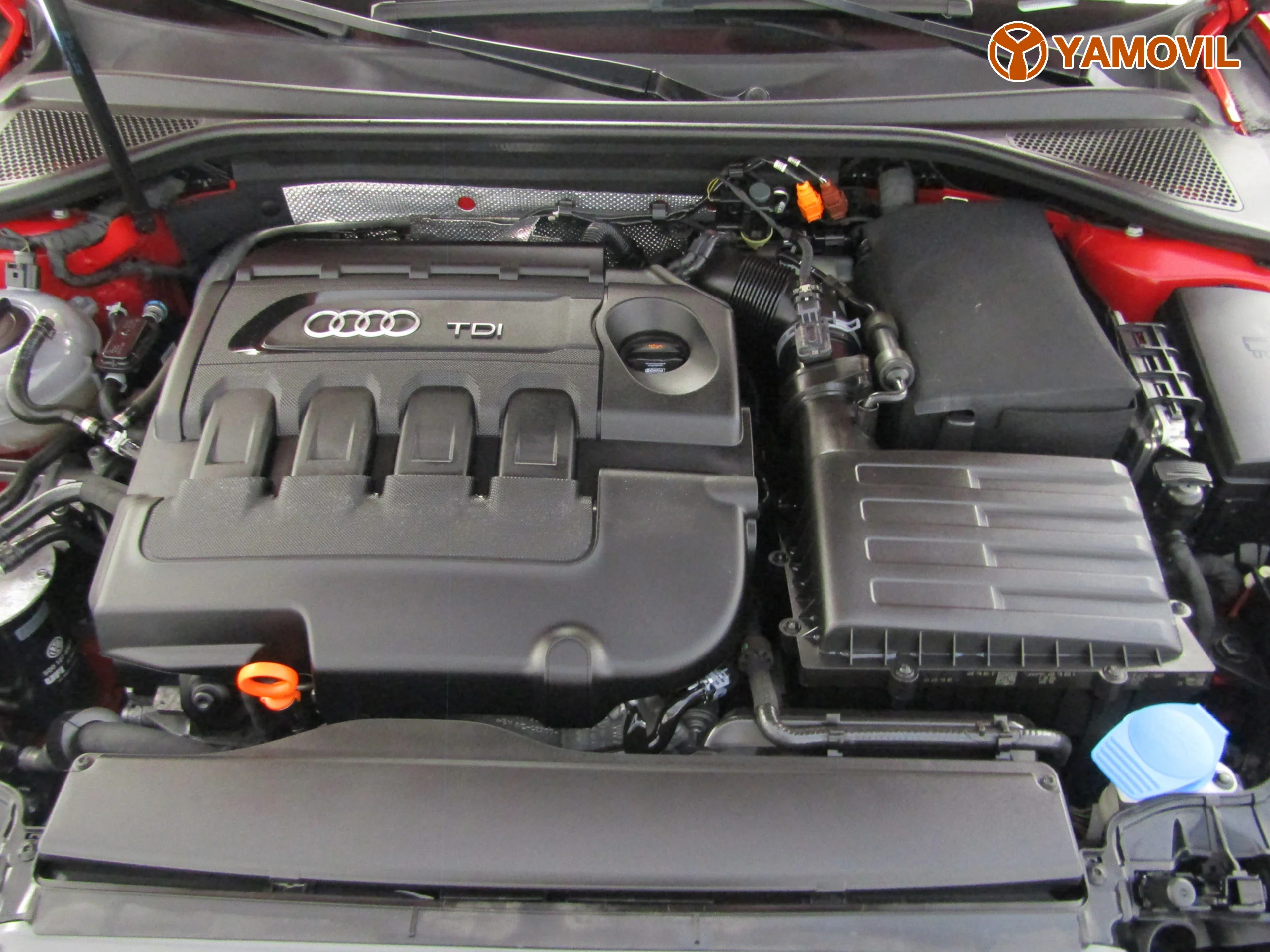 Audi A3 1.6 TDI S-TRONIC - Foto 8