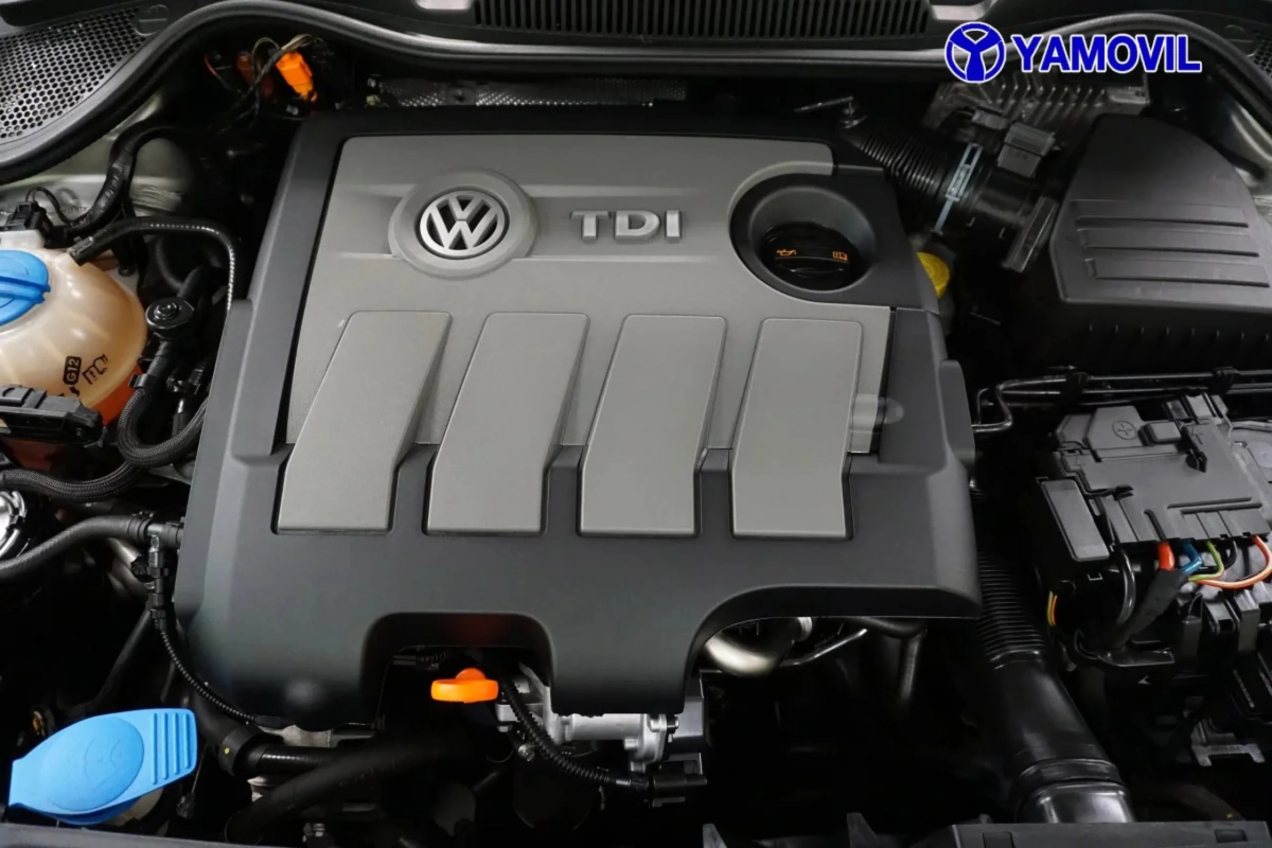 Volkswagen Polo Advance 1.6 TDI 66 kW (90 CV) - Foto 8