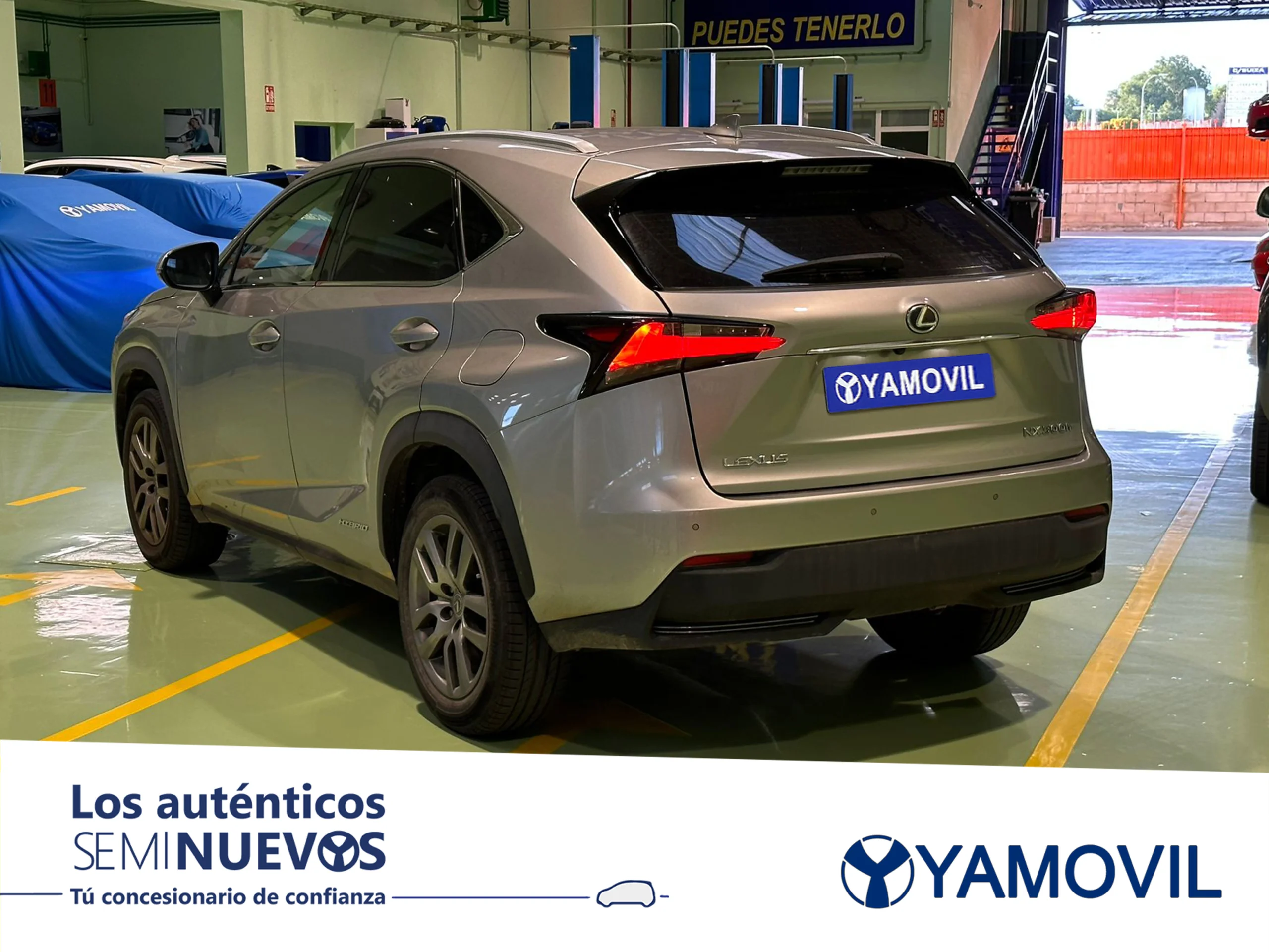 Lexus NX 300h Executive 4WD 145 kW (197 CV) - Foto 4