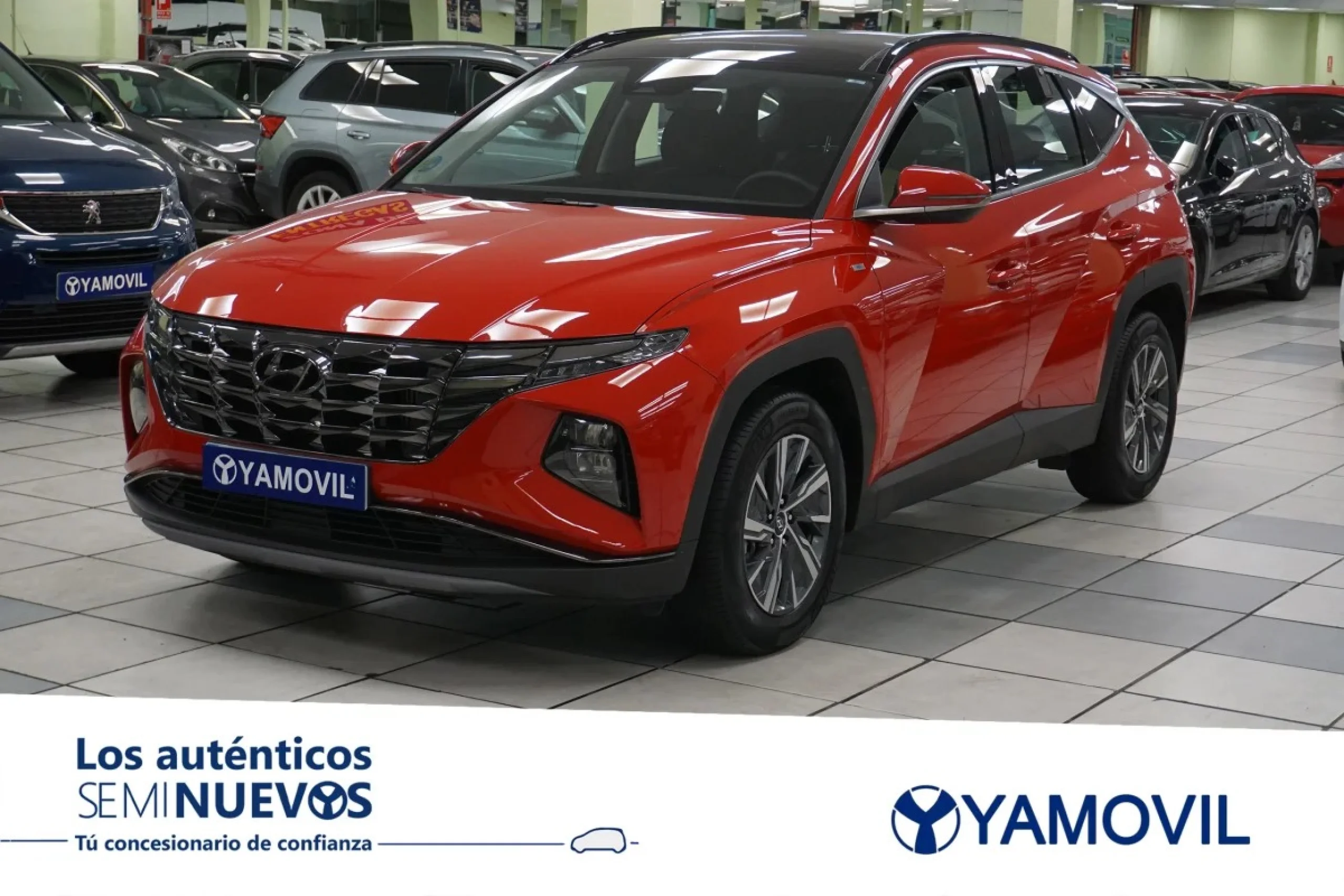Hyundai Tucson 1.6 TGDI 48V Tecno Sky 110 kW (150 CV) - Foto 1