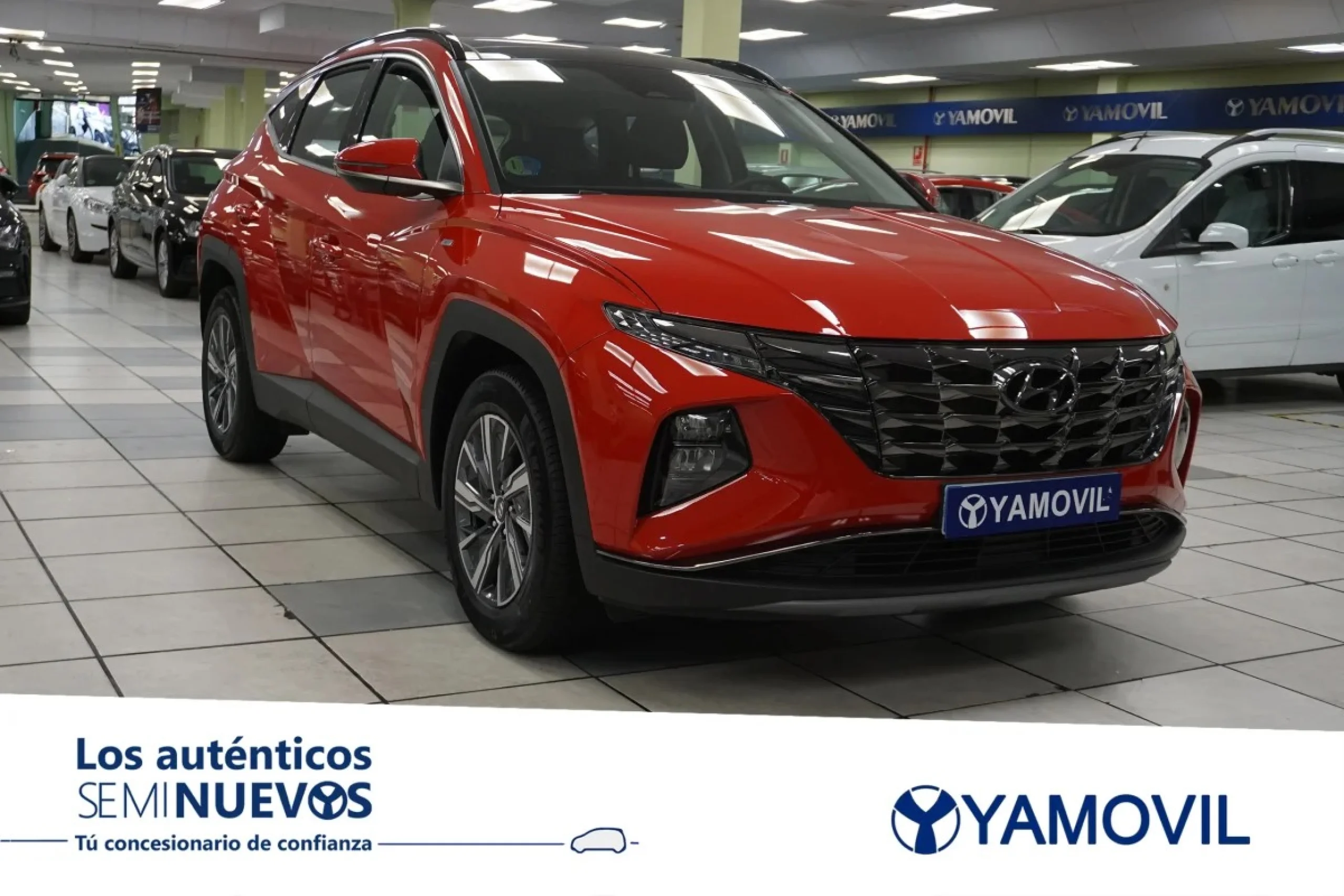 Hyundai Tucson 1.6 TGDI 48V Tecno Sky 110 kW (150 CV) - Foto 3