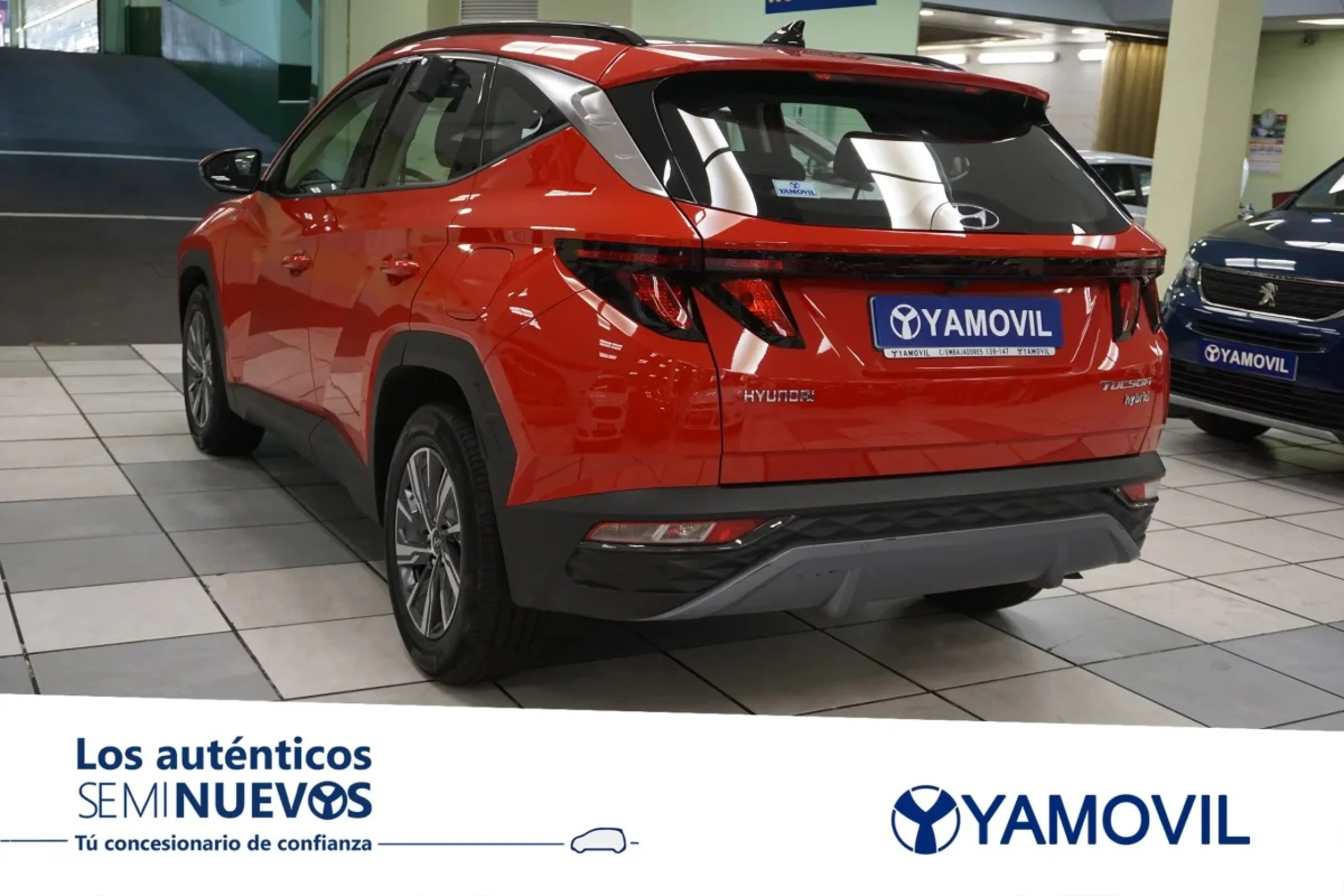 Hyundai Tucson 1.6 TGDI 48V Tecno Sky 110 kW (150 CV) - Foto 6