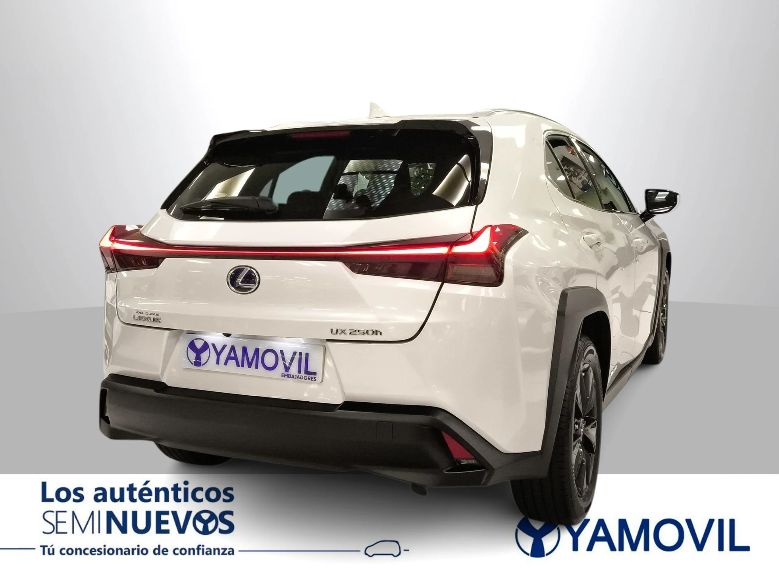 Lexus Ux 250h Business 2WD 135 kW (184 CV) - Foto 4
