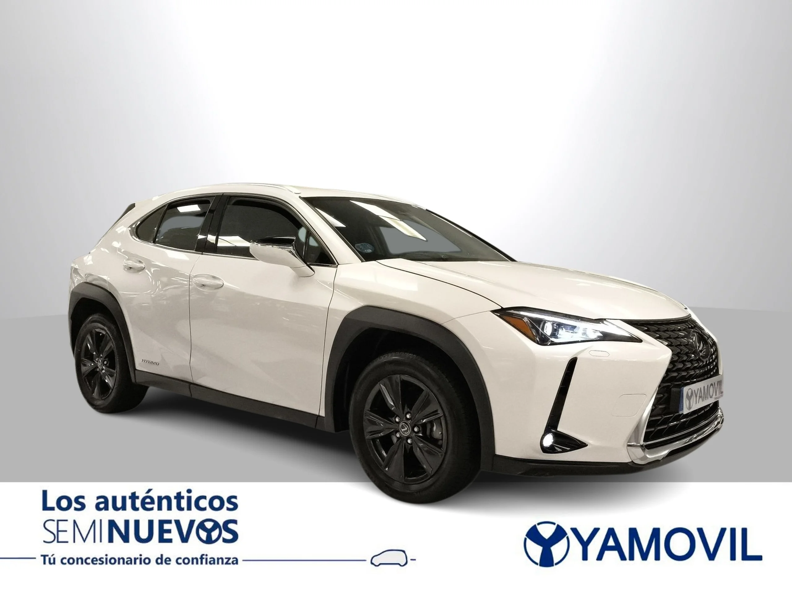 Lexus Ux 250h Business 2WD 135 kW (184 CV) - Foto 5