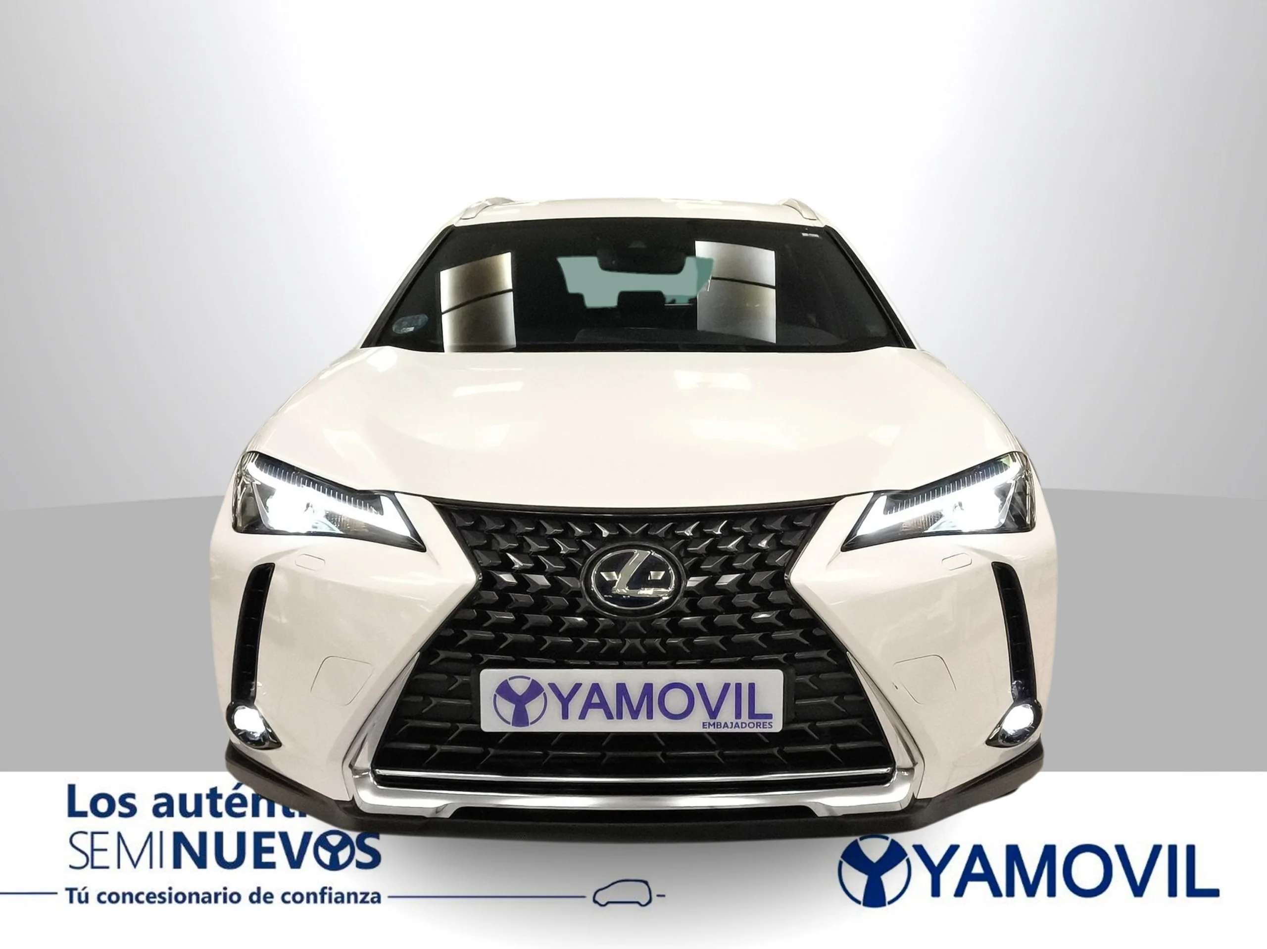 Lexus Ux 250h Business 2WD 135 kW (184 CV) - Foto 6