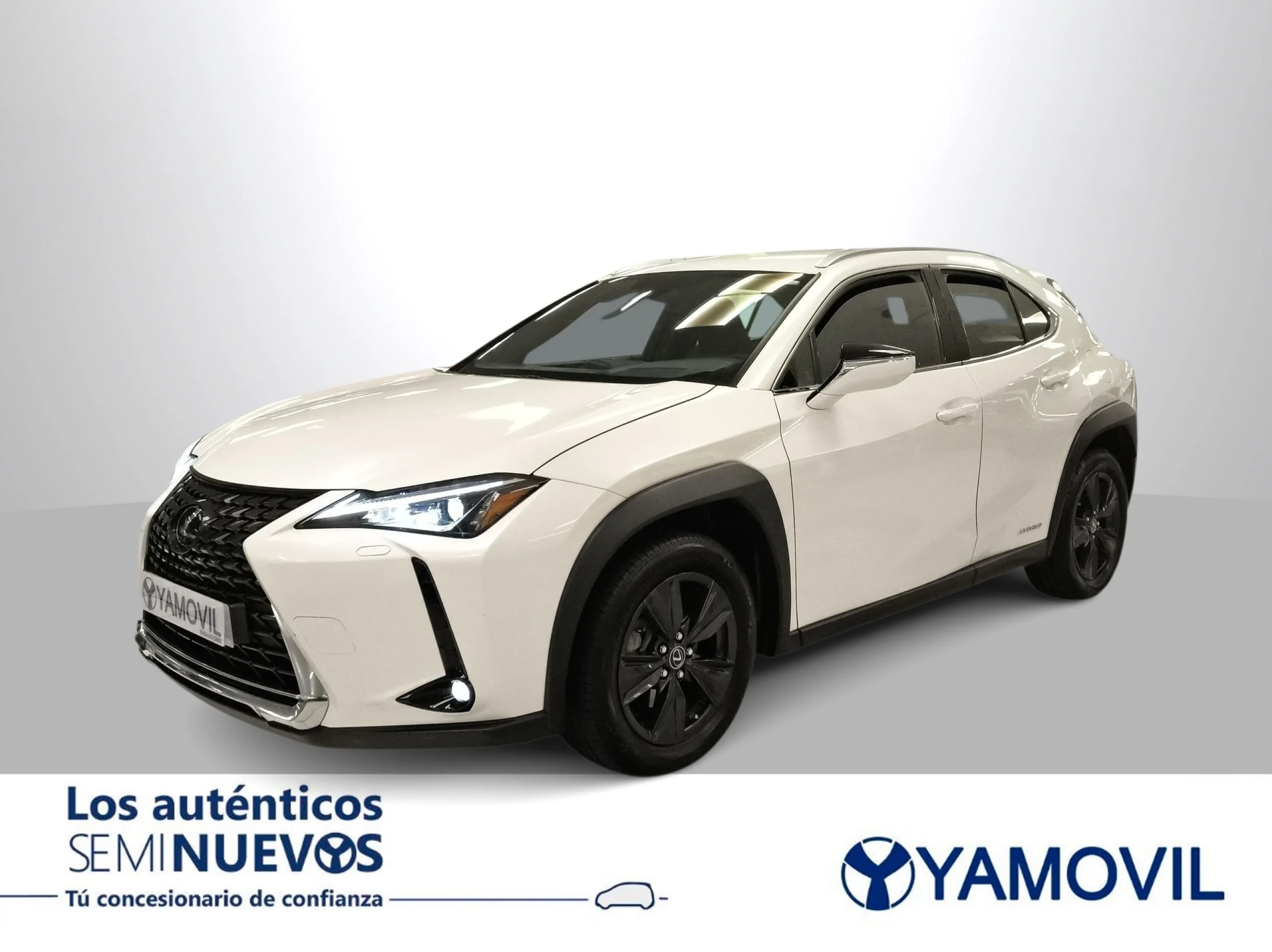 Lexus Ux 250h Business 2WD 135 kW (184 CV) - Foto 1