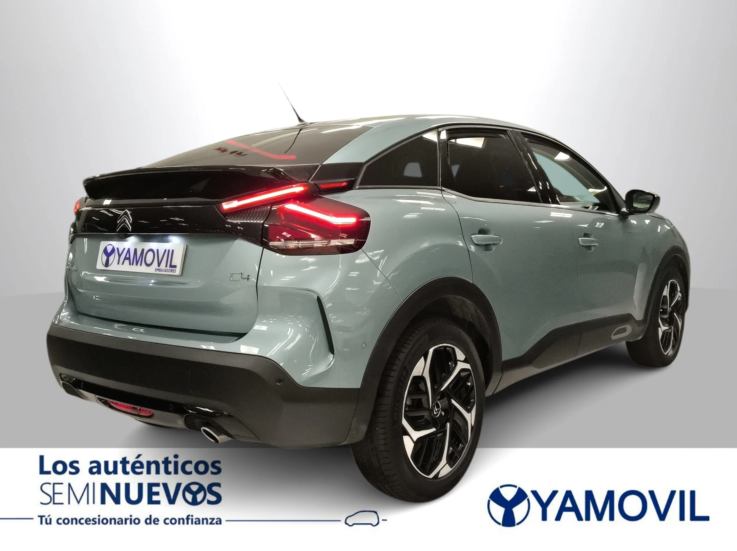 Citroen C4 BlueHDi 130 SANDS Shine EAT8 96 kW (130 CV) - Foto 6