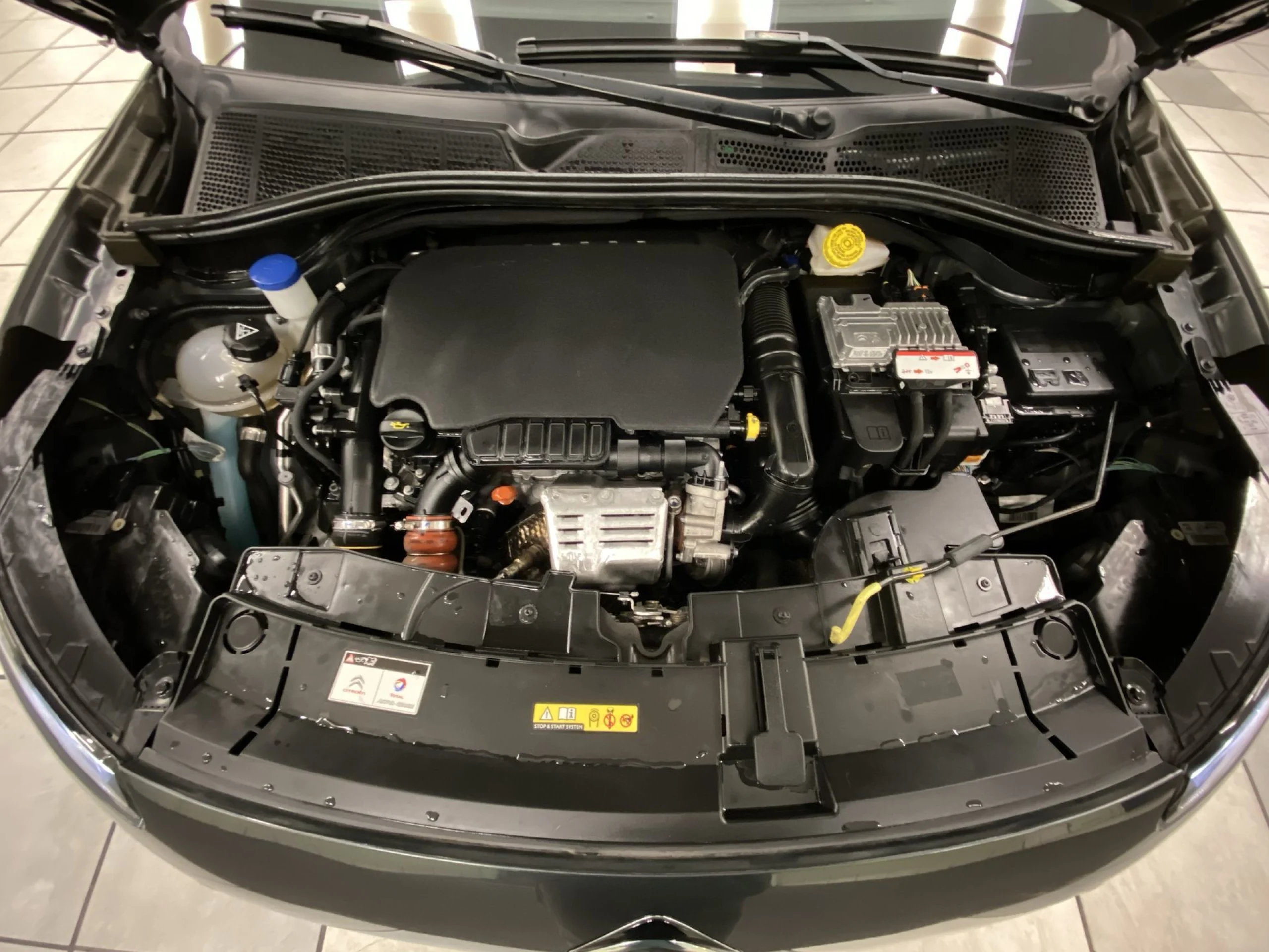 Citroen C4 Cactus PureTech 110 SANDS Feel Edition 81 kW (110 CV) - Foto 21