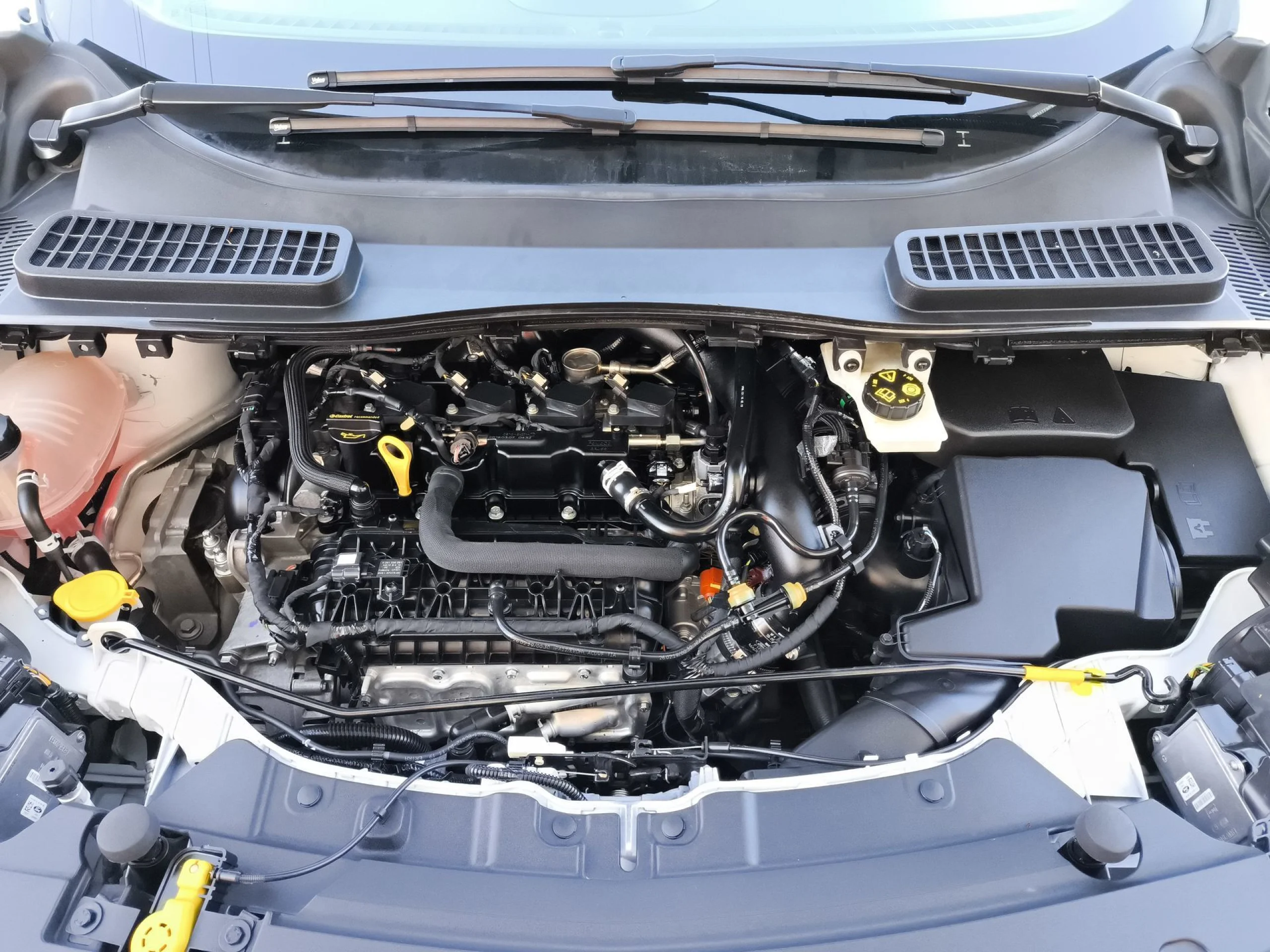 Ford Kuga 1.5 EcoBoost SANDS Trend+ 4x2 88 kW (120 CV) - Foto 25