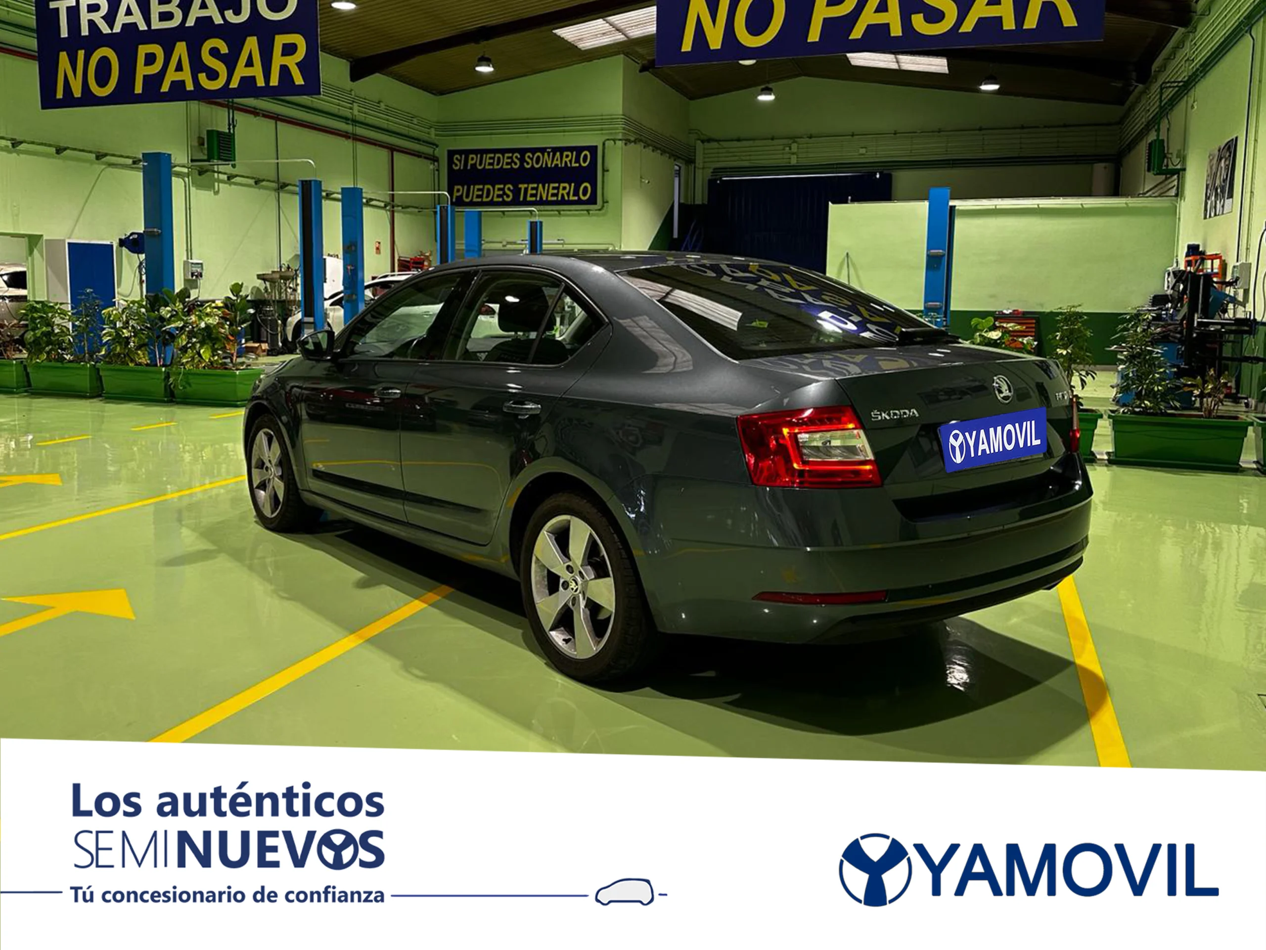 Skoda Octavia 1.0 TSI Like 85 kW (115 CV) - Foto 2