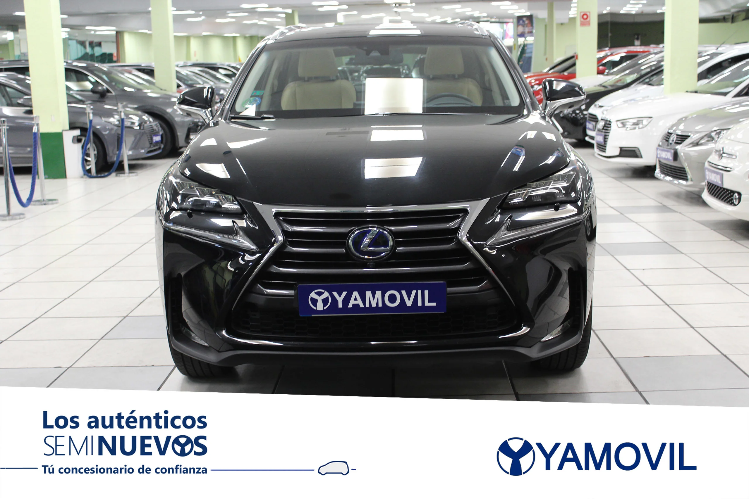 Lexus NX 300h Luxury 4WD 145 kW (197 CV) - Foto 2