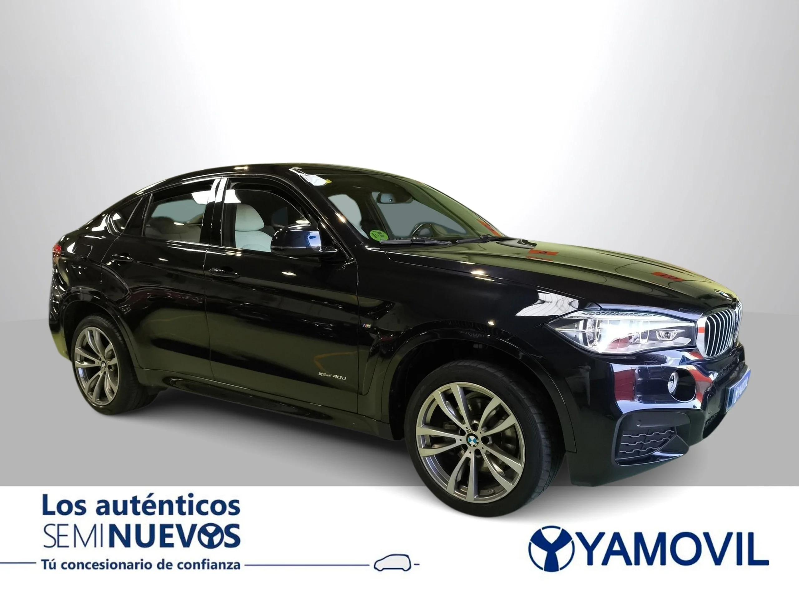 BMW X6 xDrive40d 230 kW (313 CV) - Foto 5