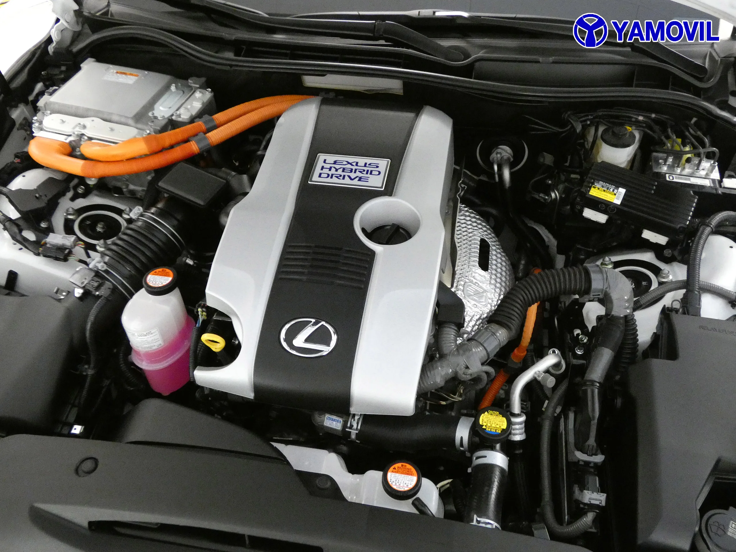 Lexus IS 300 HYBRID EXECUTIVE TECNO - Foto 8
