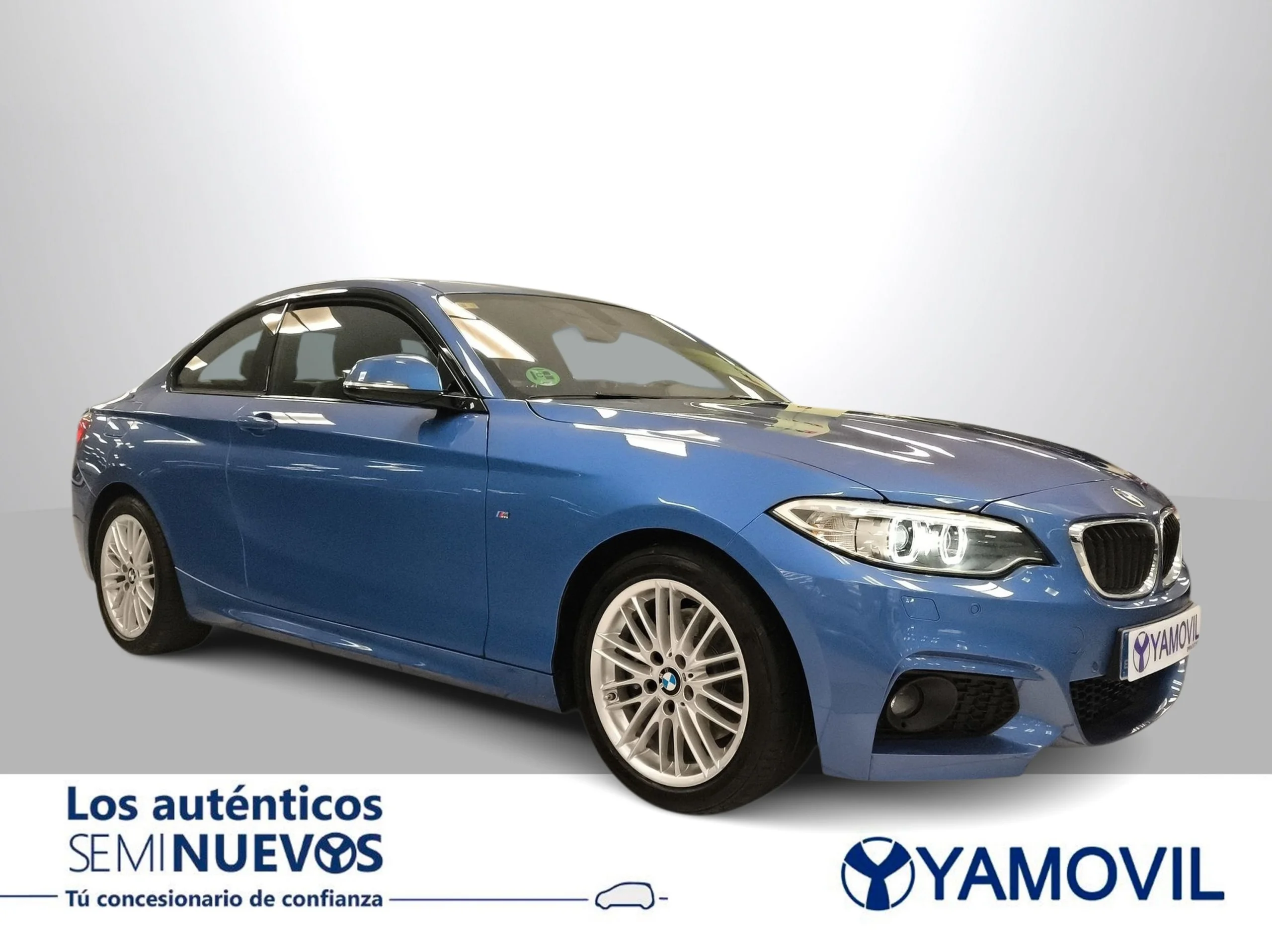 BMW Serie 2 220i Coupe 135 kW (184 CV) - Foto 2