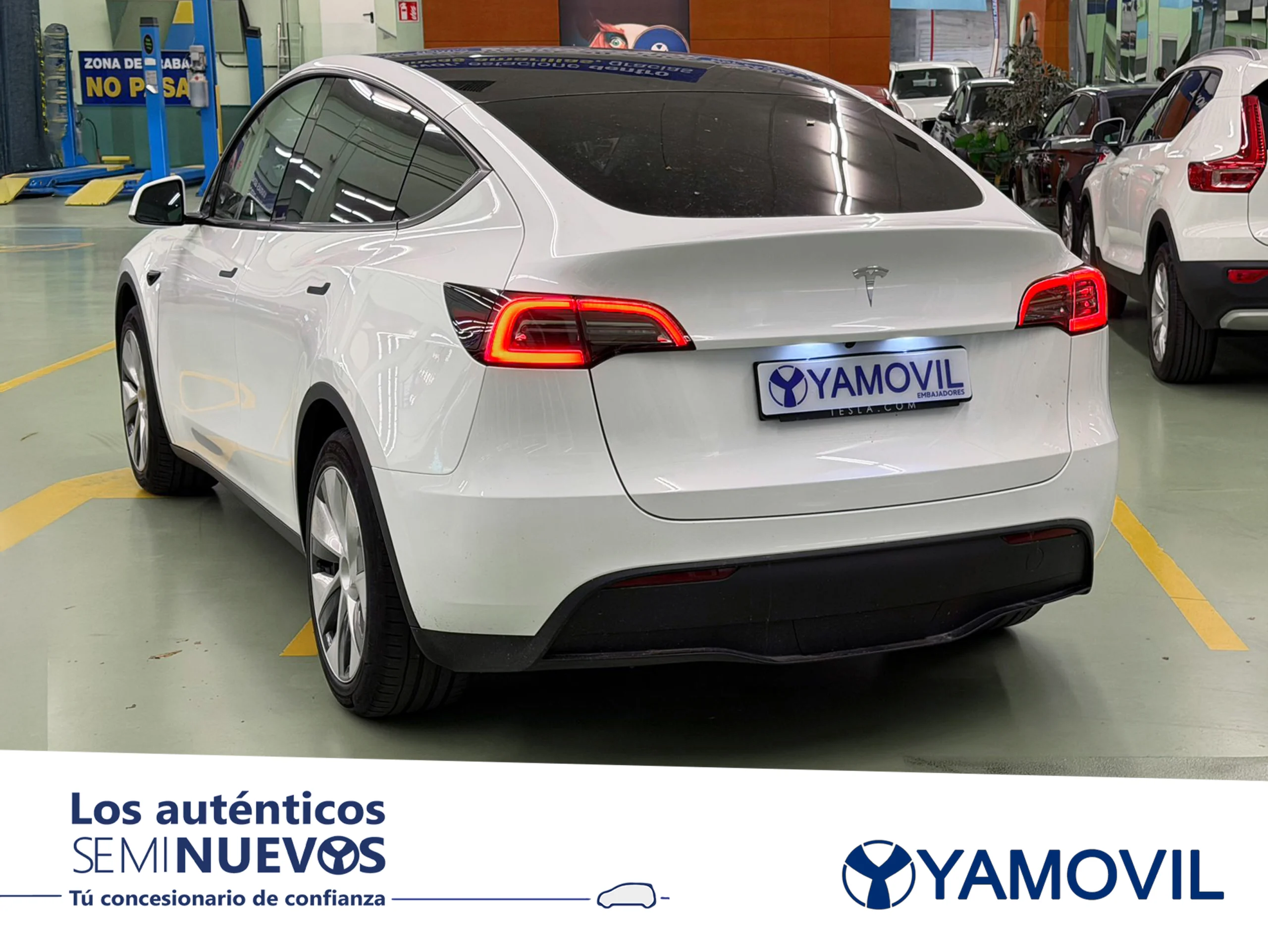 Tesla Model Y Tracción Trasera RWD 220 kW (299 CV) - Foto 4