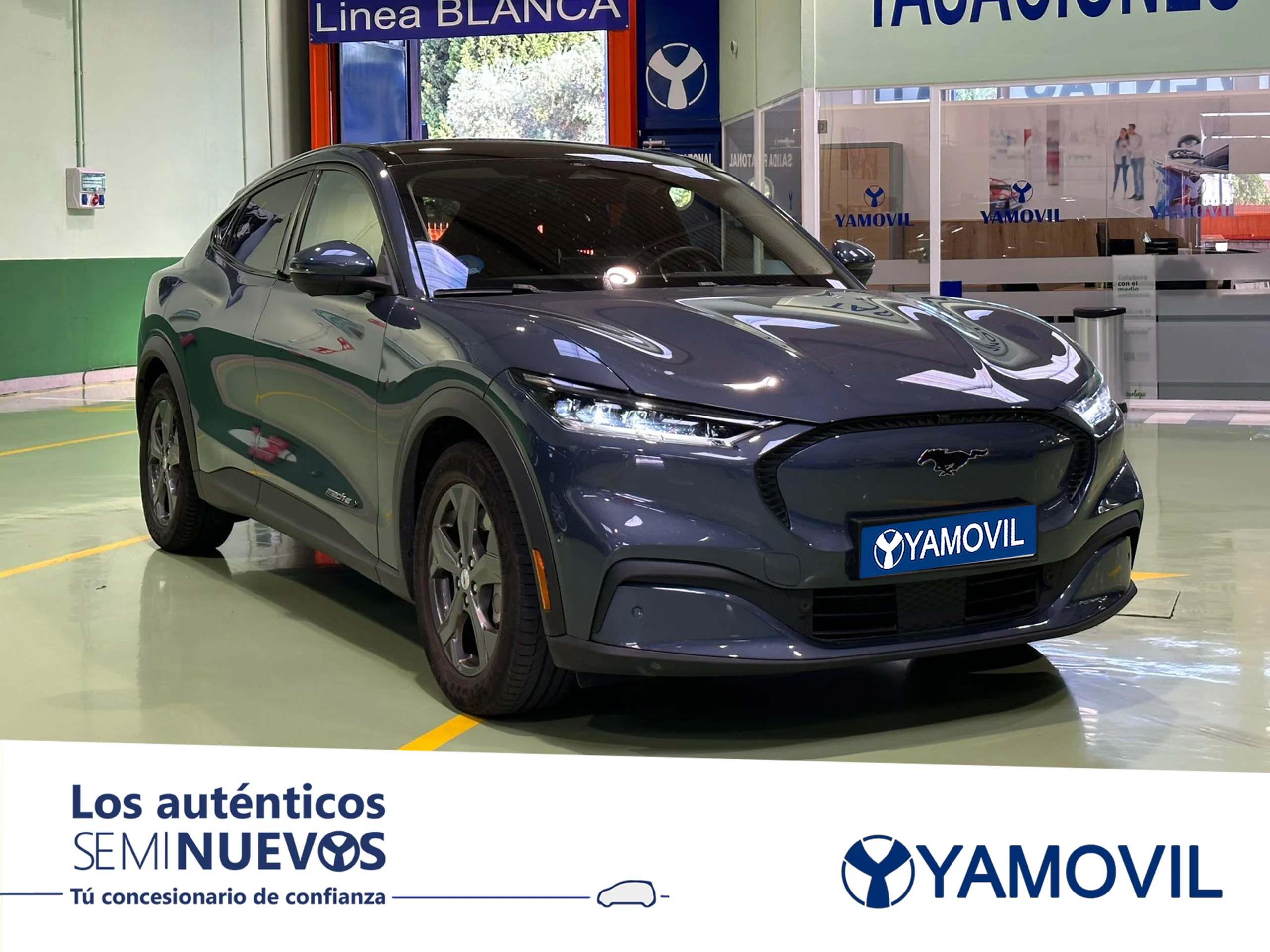 Ford Mustang Mach-E AWD Batería 98.8Kwh 216 kW (294 CV) - Foto 3
