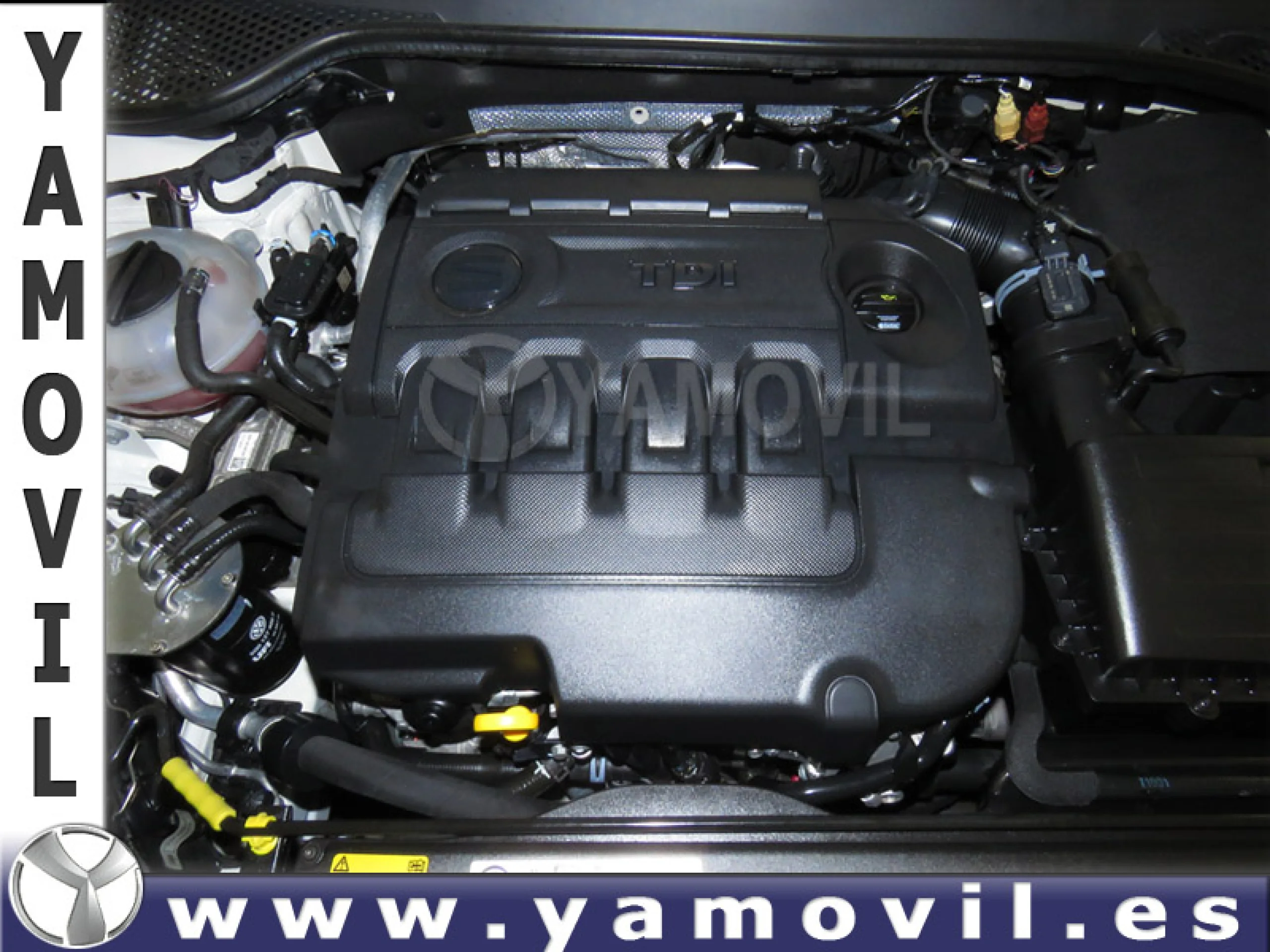 Seat Leon 1.6 TDi 105CV REFERENCE 5P - Foto 8