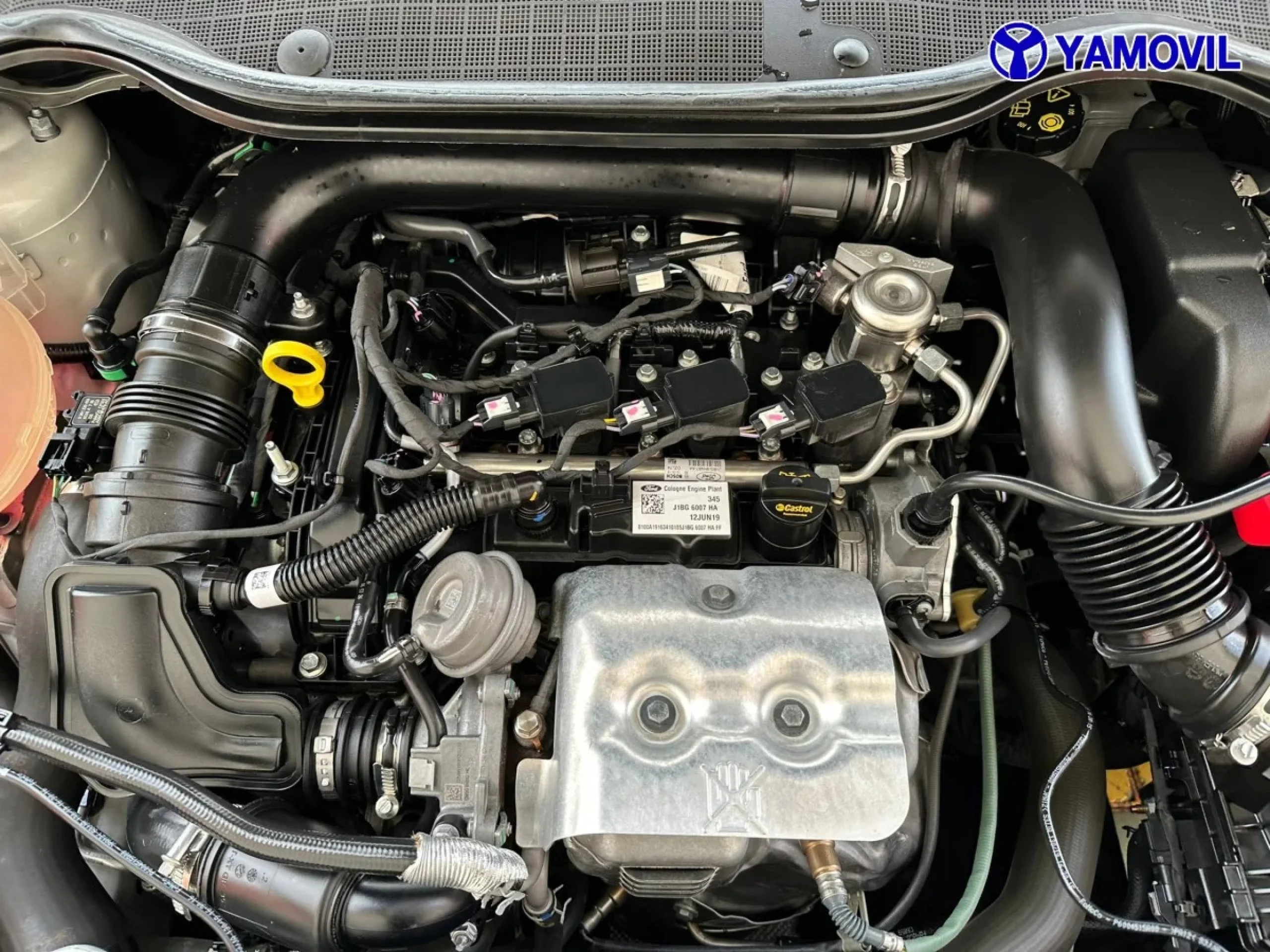 Ford Fiesta 1.0 EcoBoost SANDS Active 74 kW (100 CV) - Foto 8