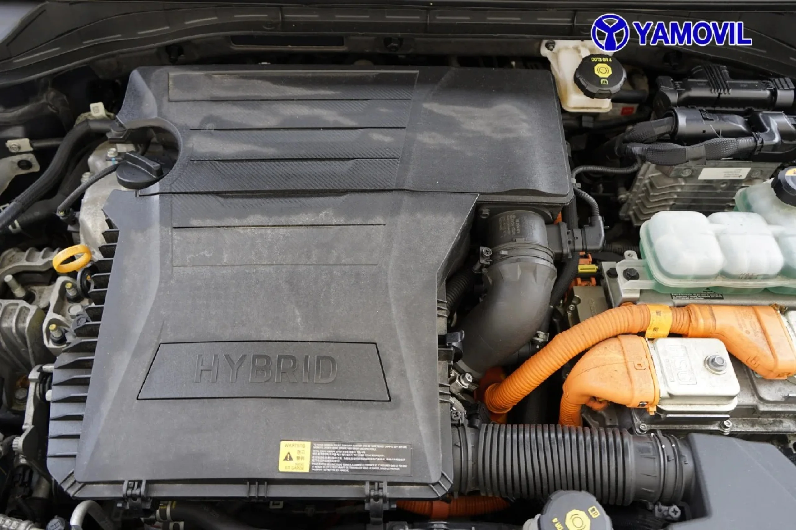Kia Niro 1.6 GDi HEV Híbrido Drive 104 kW (141 CV) - Foto 8