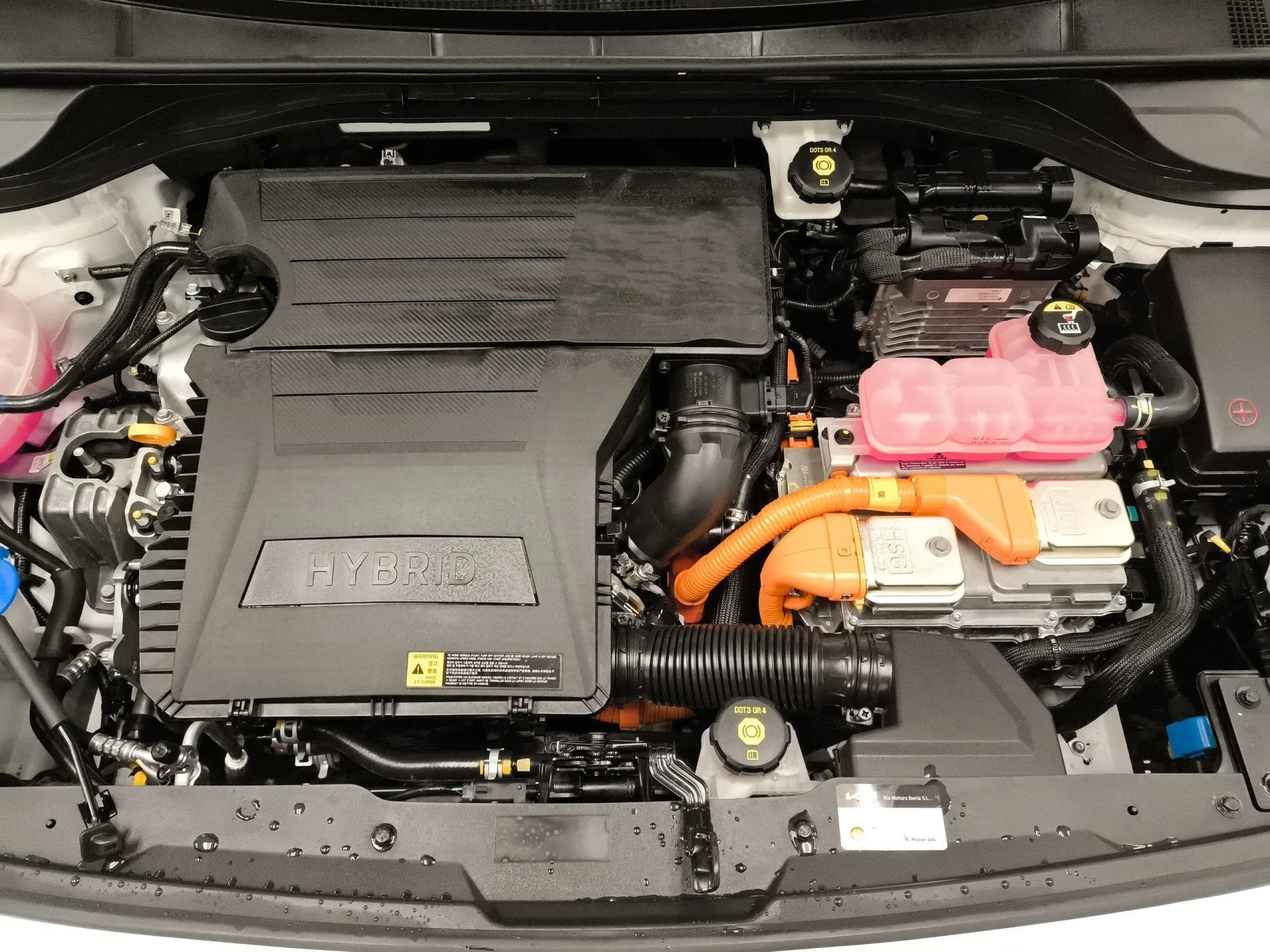 Kia Niro 1.6 GDi HEV Híbrido Emotion 104 kW (141 CV) - Foto 22