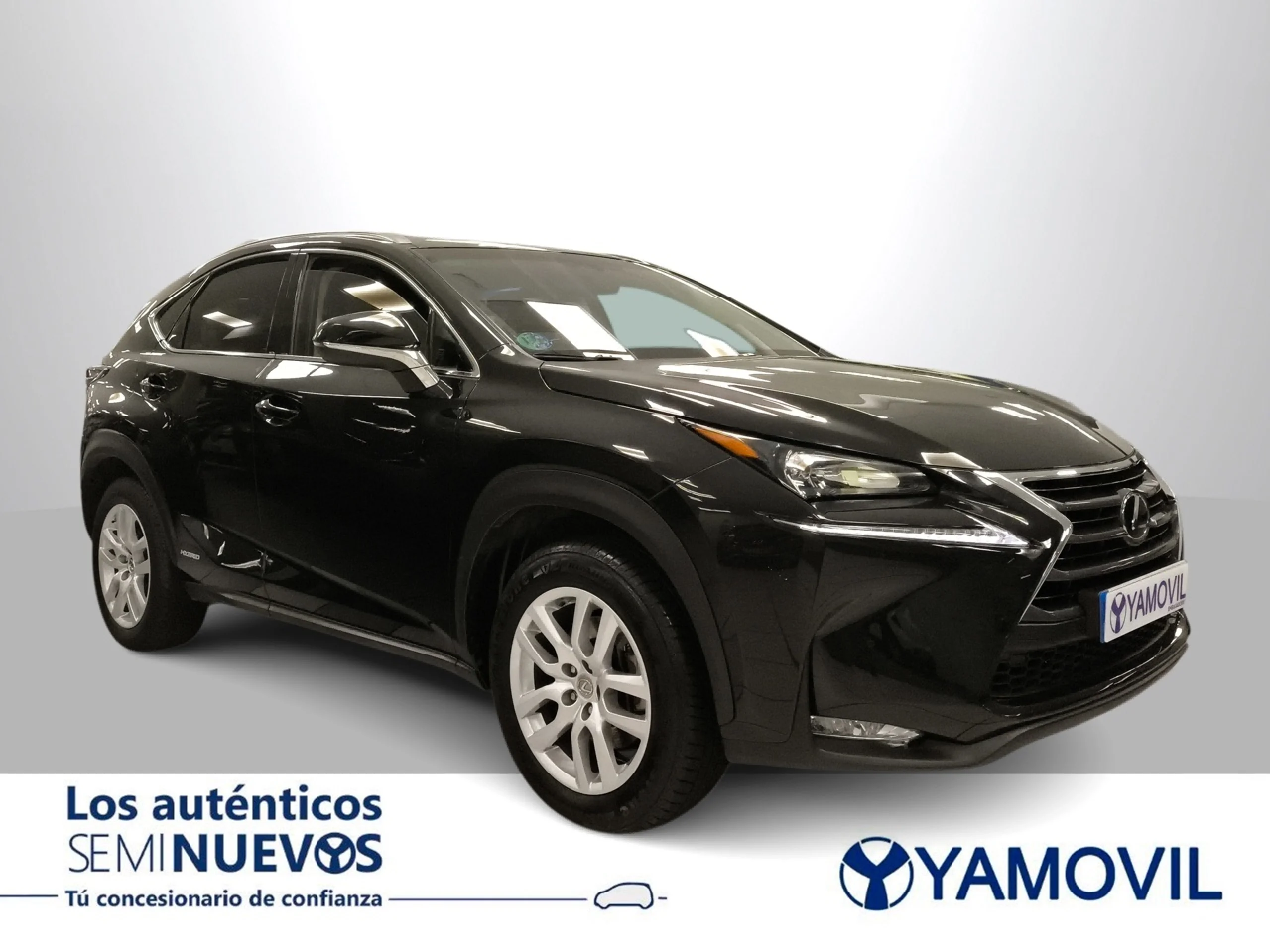 Lexus NX 300h Executive 4WD 145 kW (197 CV) - Foto 2