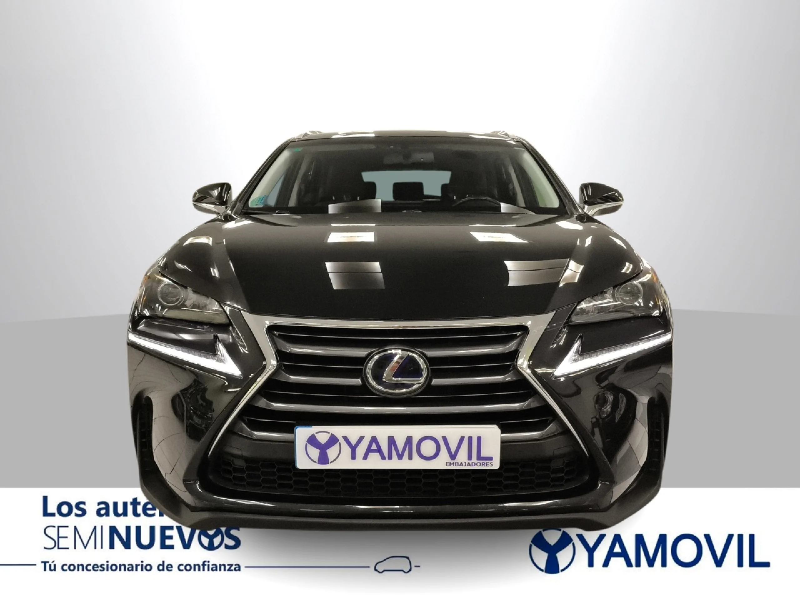 Lexus NX 300h Executive 4WD 145 kW (197 CV) - Foto 3