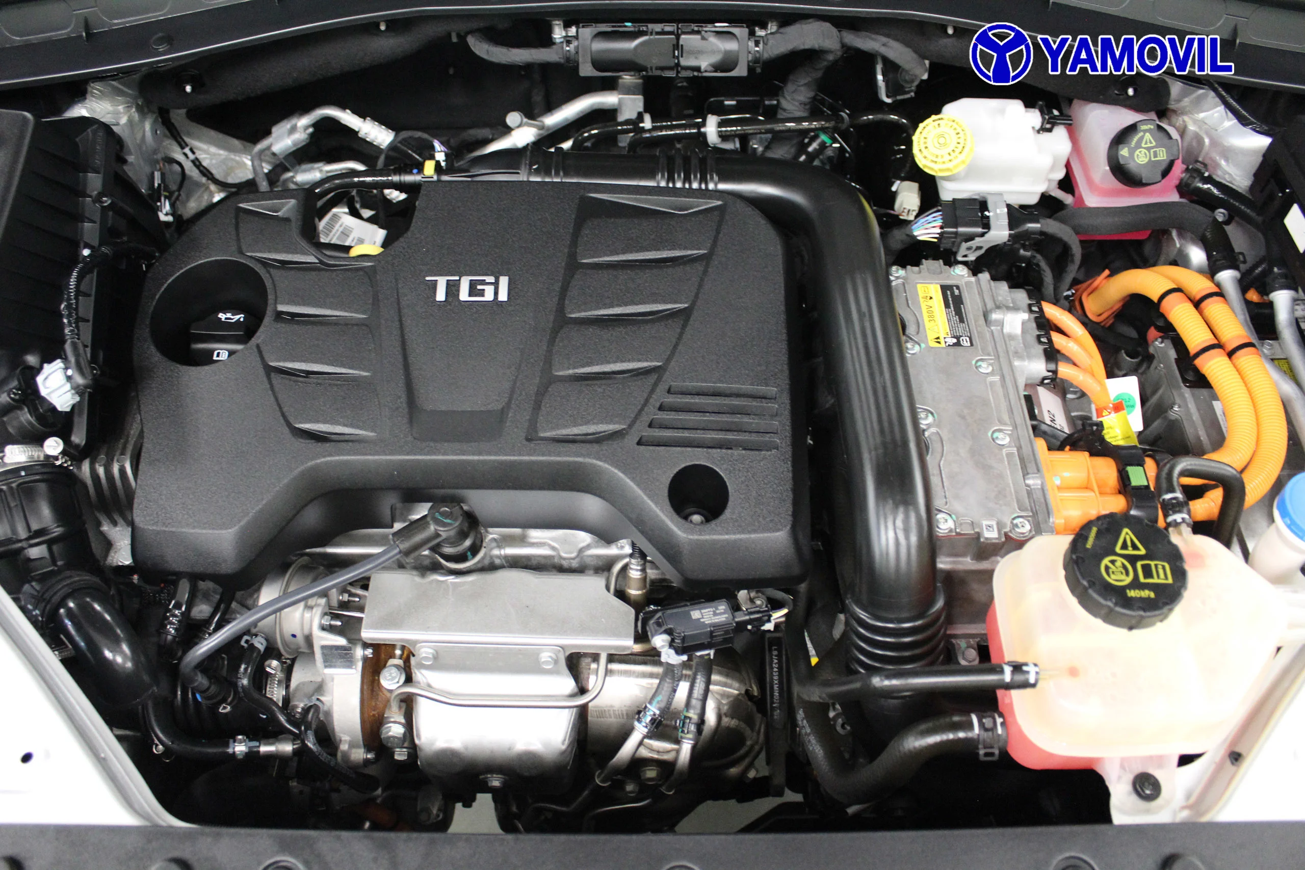 MG Ehs MG EHS 1.5 TGDI PLUG-IN HYBRID 162CV  AUT LUXURY 5P. - Foto 9