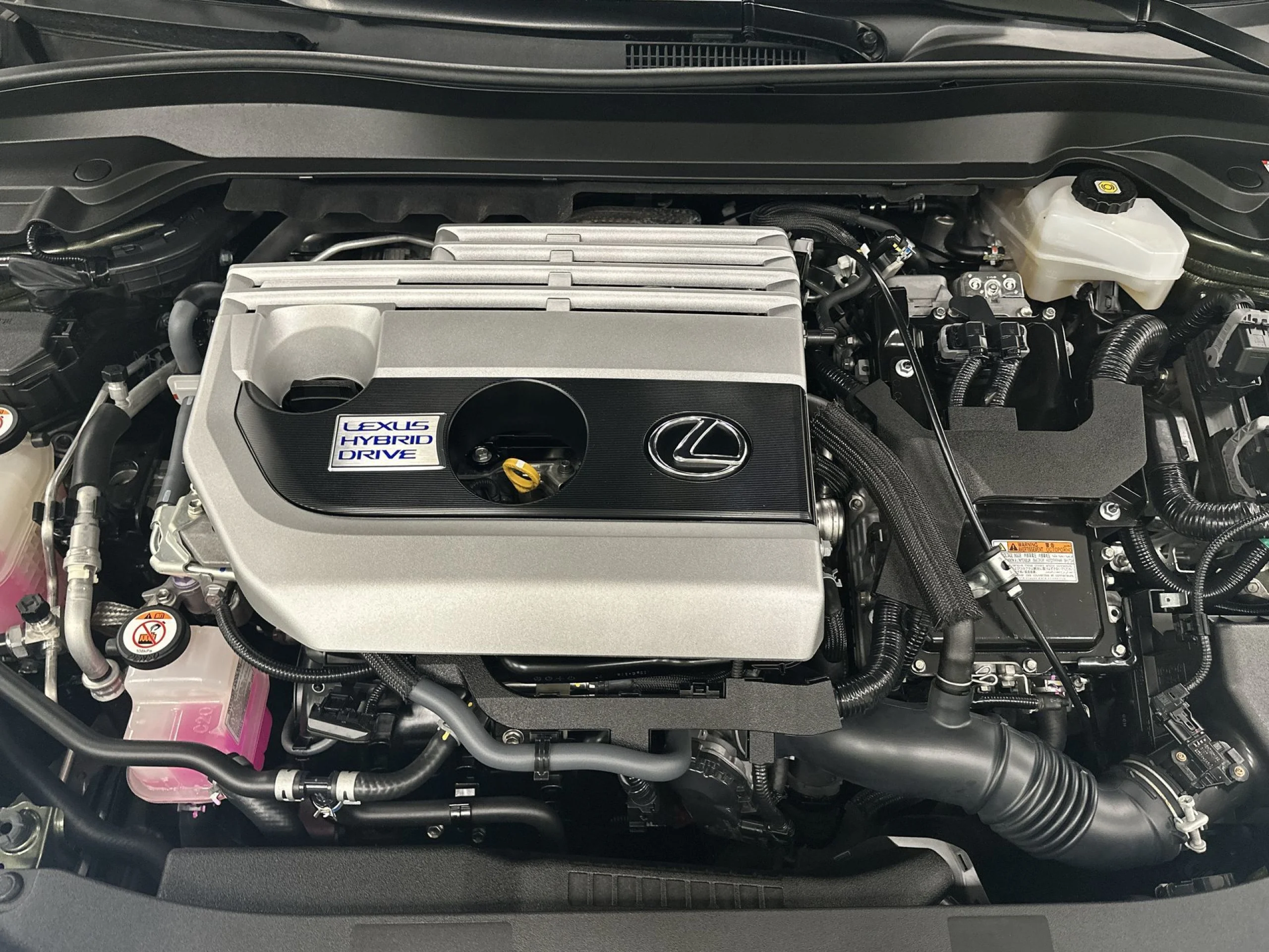 Lexus Ux 250h Business Navigation 2WD 135 kW (184 CV) - Foto 21