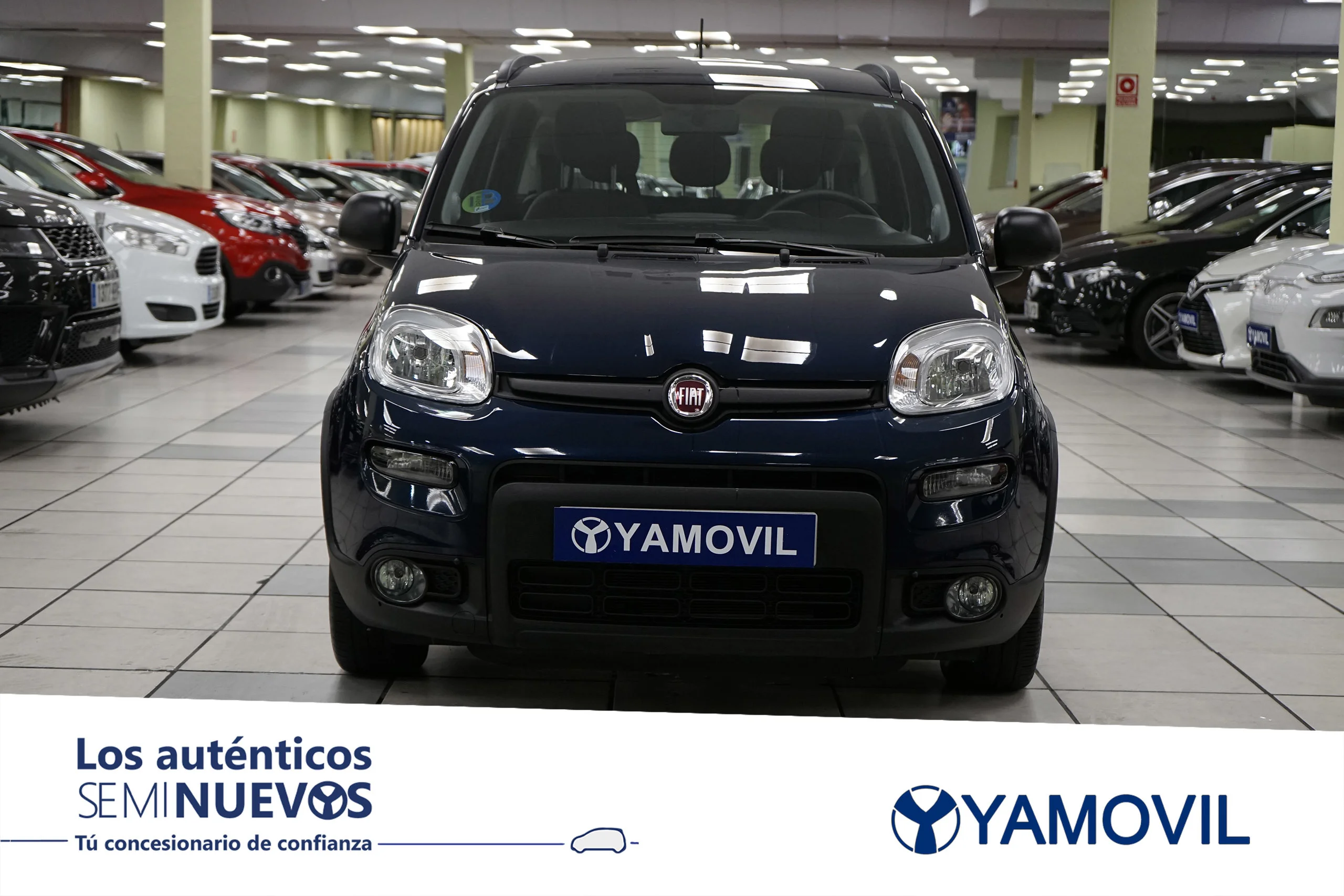 Fiat Panda 1.0 Gse Hybrid  City Life 51 kW (70 CV) - Foto 2