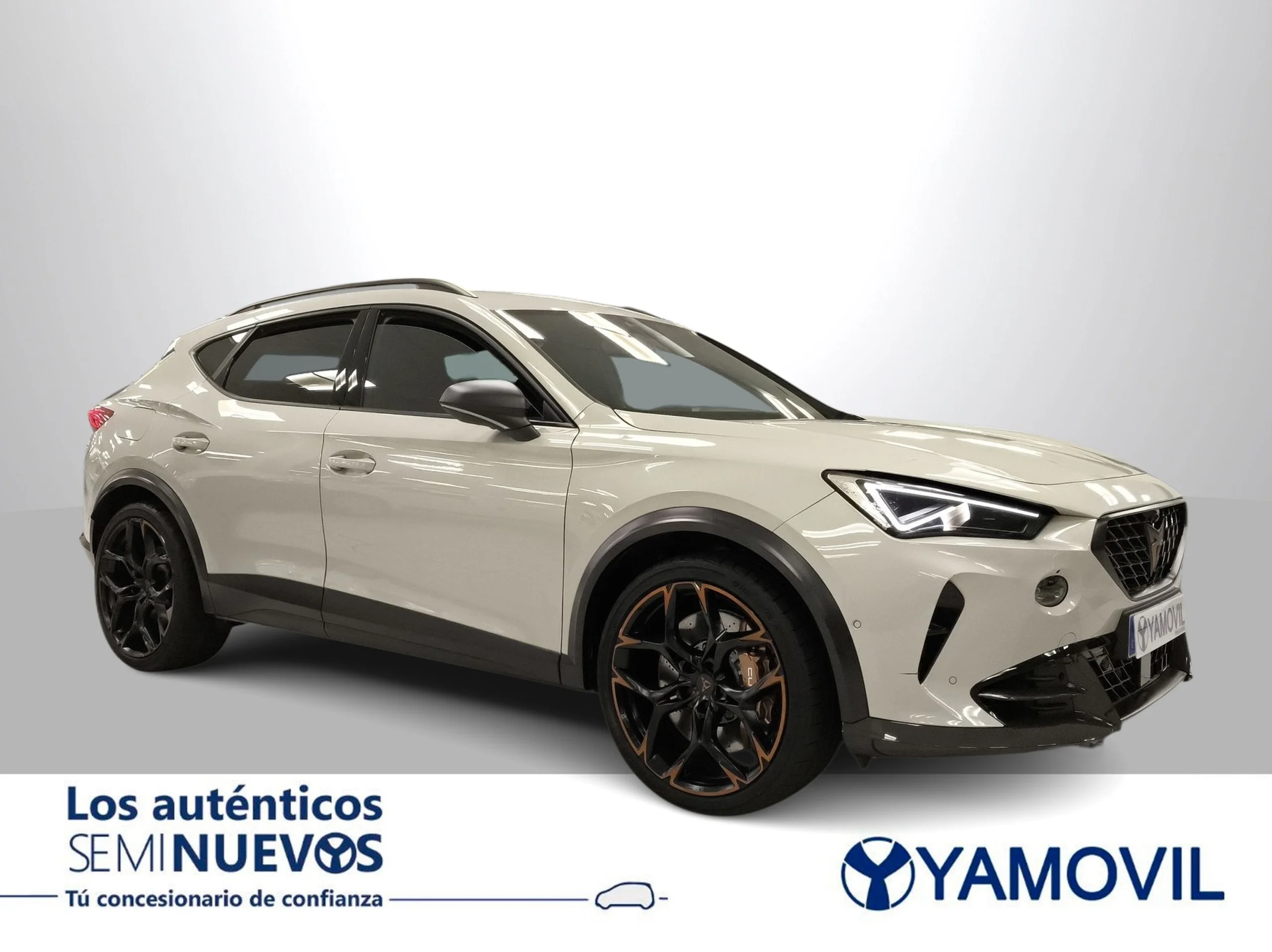 Cupra Formentor 2.5 TSI VZ5 4Drive DSG 287 kW (390 CV) - Foto 2