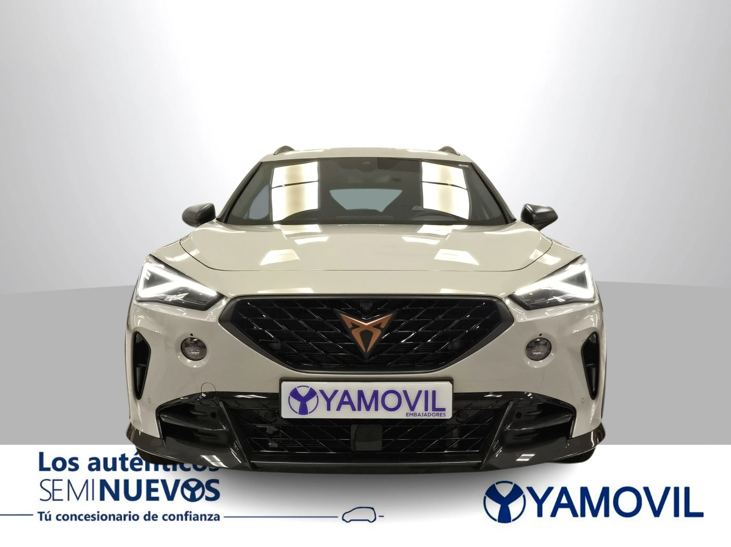 Cupra Formentor 2.5 TSI VZ5 4Drive DSG 287 kW (390 CV) - Foto 3