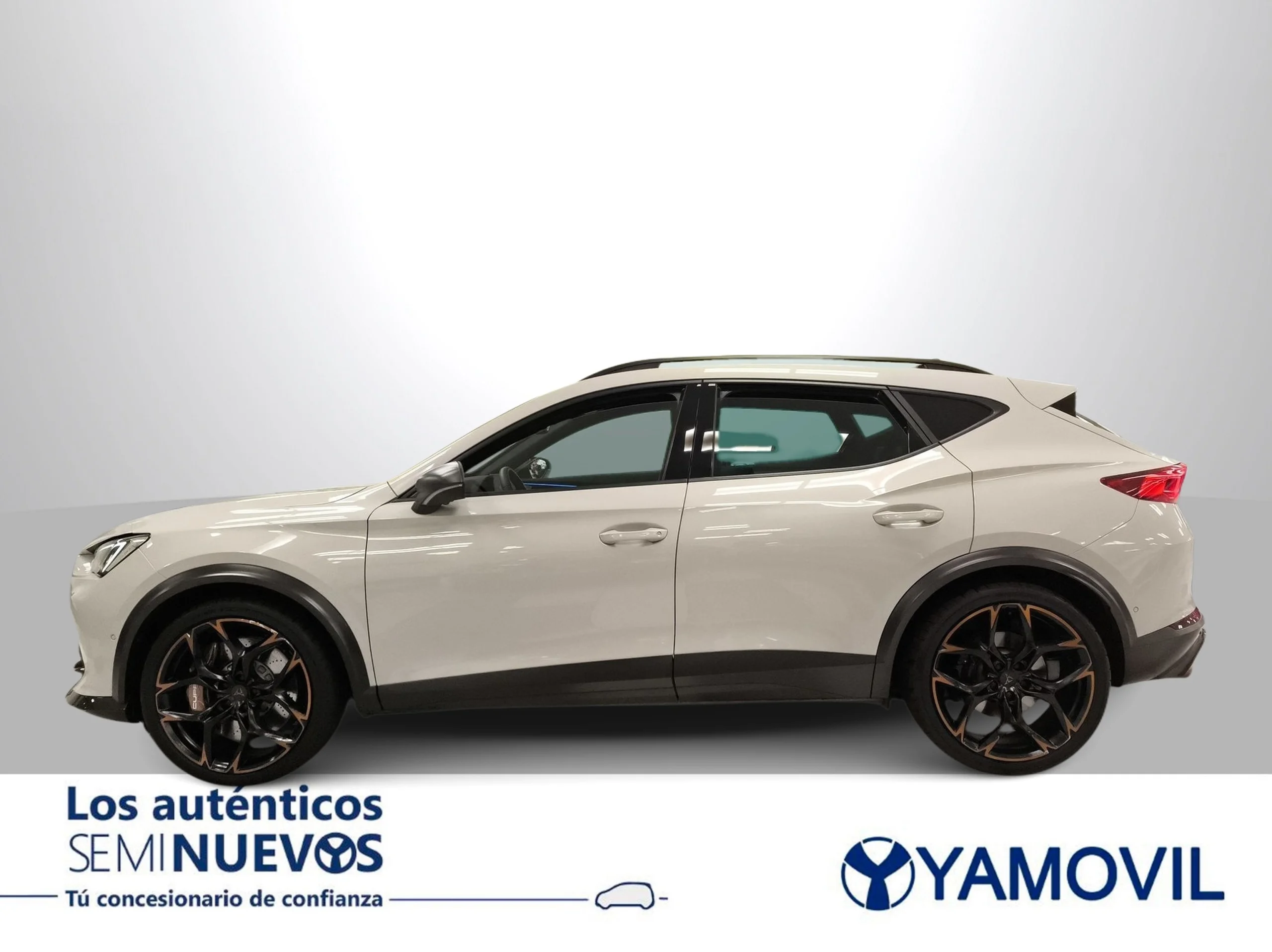 Cupra Formentor 2.5 TSI VZ5 4Drive DSG 287 kW (390 CV) - Foto 4
